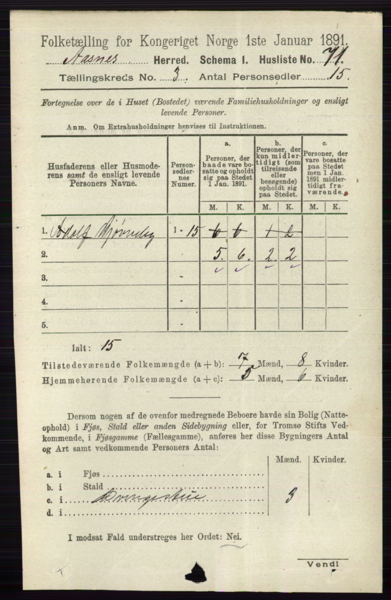 RA, 1891 census for 0425 Åsnes, 1891, p. 1023