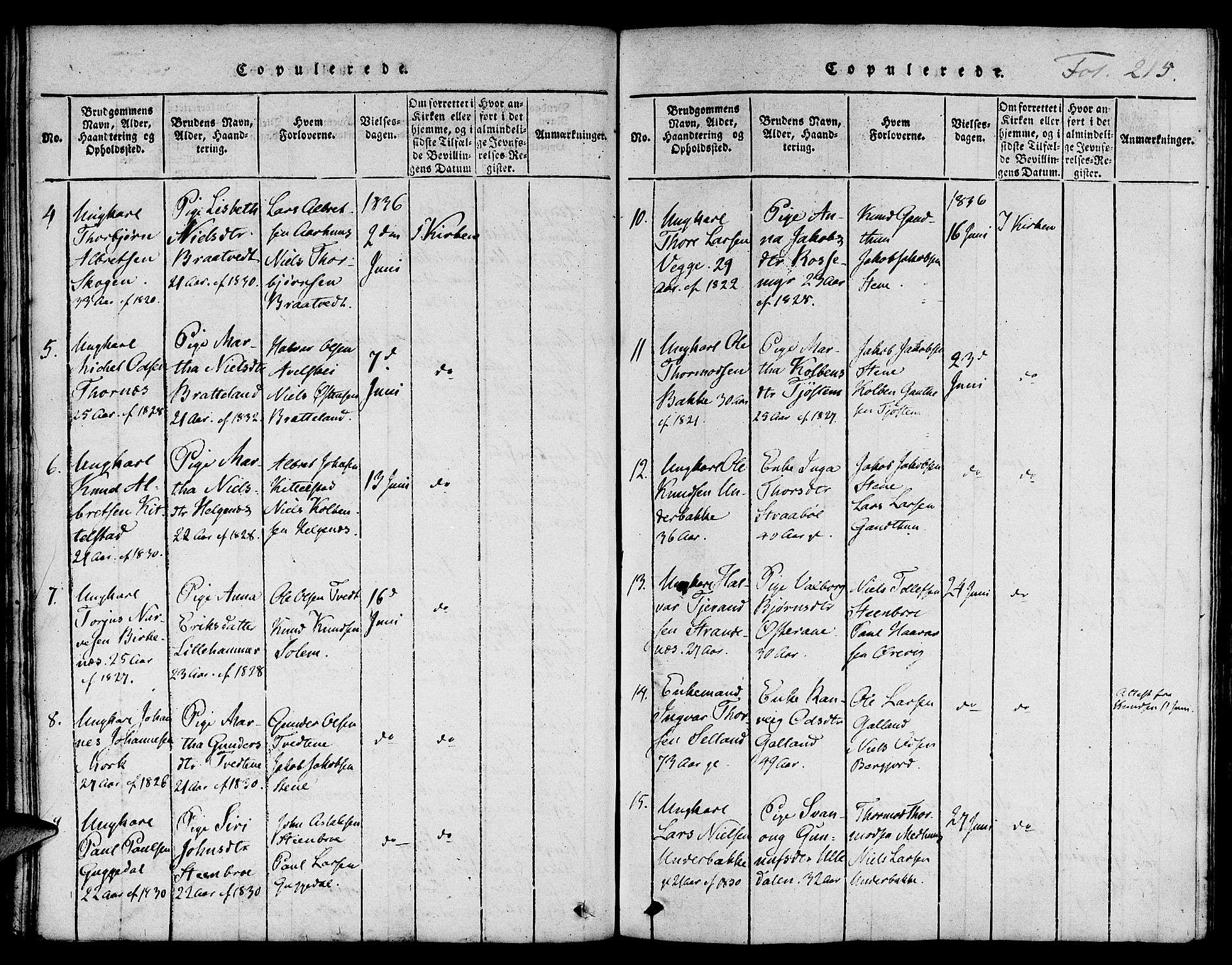 Suldal sokneprestkontor, AV/SAST-A-101845/01/IV/L0006: Parish register (official) no. A 6, 1816-1836, p. 215