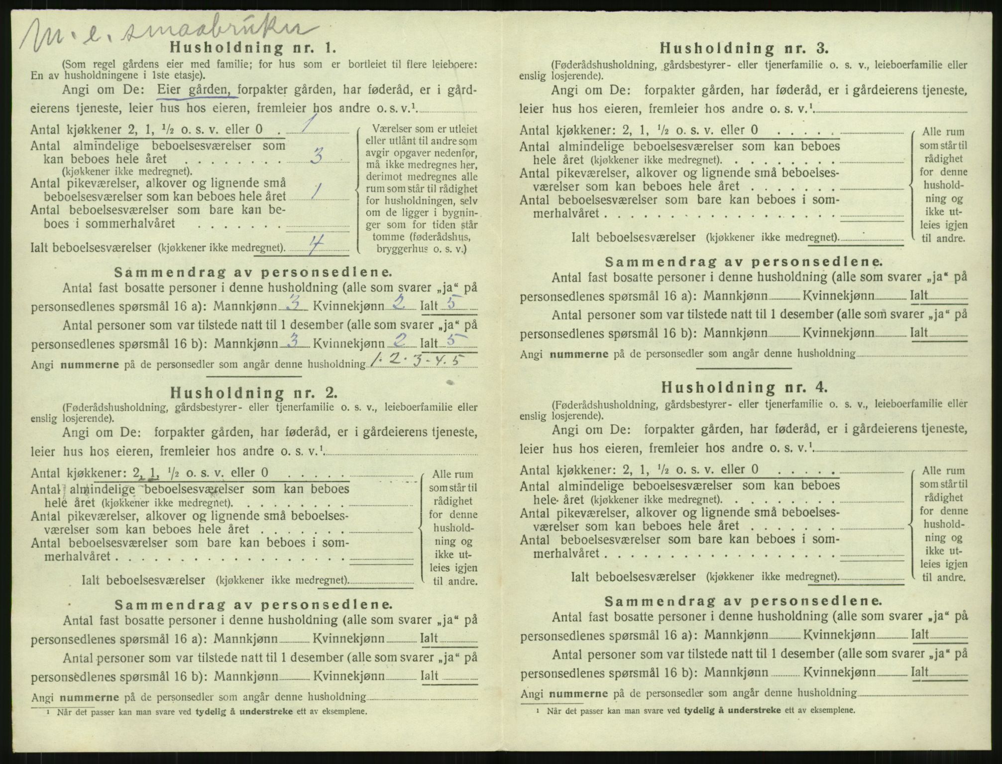 SAT, 1920 census for Vestnes, 1920, p. 1064