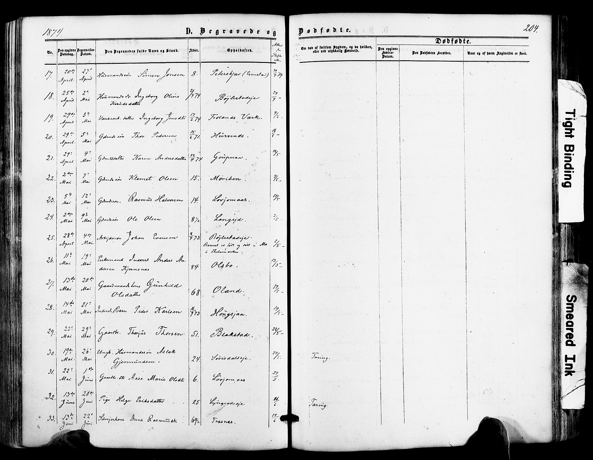 Froland sokneprestkontor, AV/SAK-1111-0013/F/Fa/L0003: Parish register (official) no. A 3, 1864-1881, p. 204