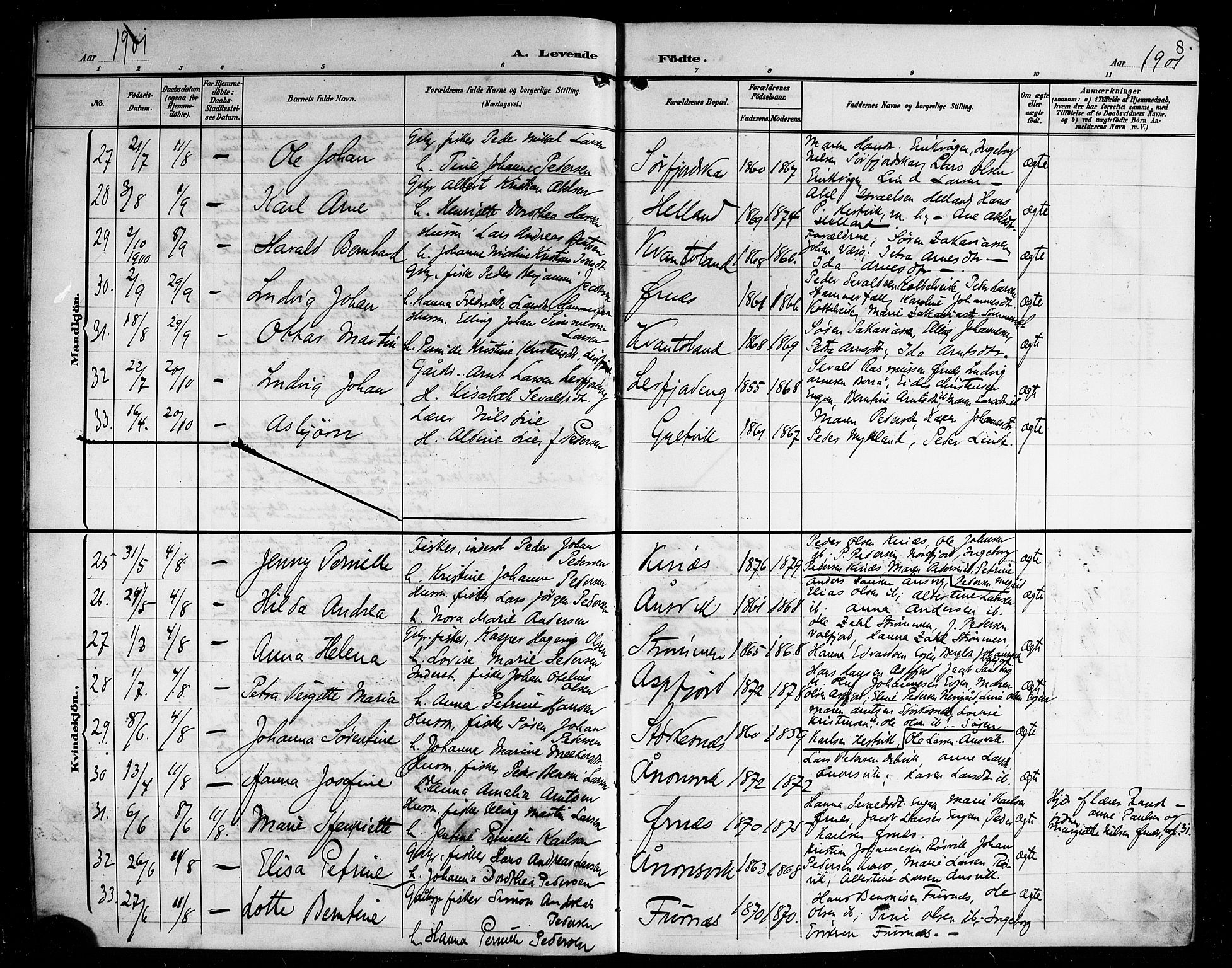 Ministerialprotokoller, klokkerbøker og fødselsregistre - Nordland, AV/SAT-A-1459/854/L0786: Parish register (copy) no. 854C02, 1901-1912, p. 8