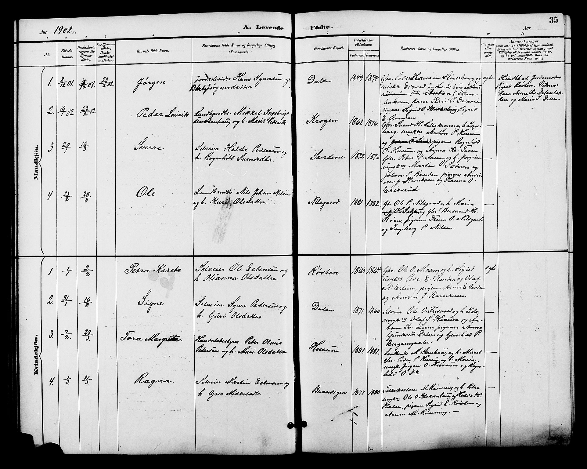 Alvdal prestekontor, SAH/PREST-060/H/Ha/Hab/L0004: Parish register (copy) no. 4, 1894-1910, p. 35