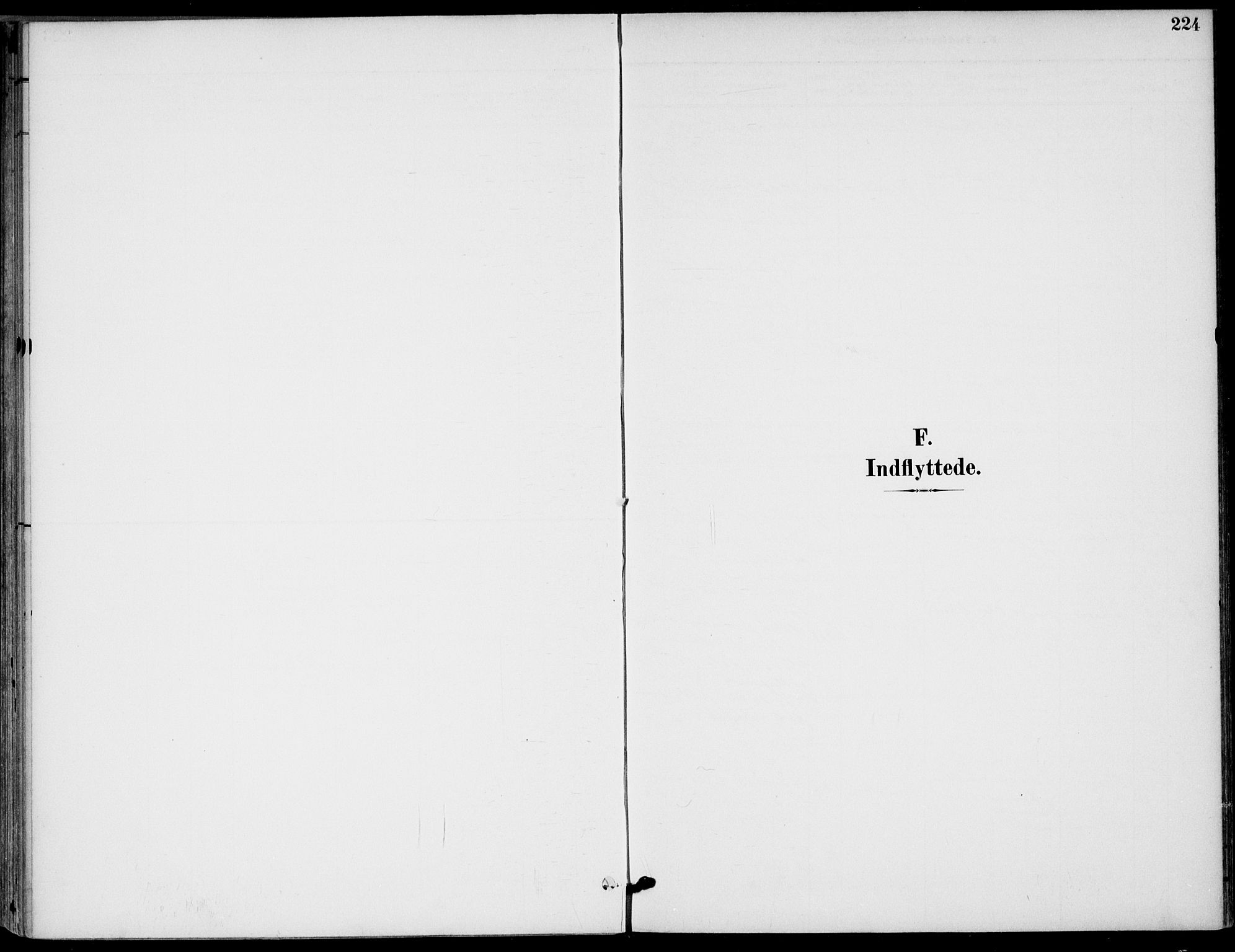 Drangedal kirkebøker, AV/SAKO-A-258/F/Fa/L0012: Parish register (official) no. 12, 1895-1905, p. 224