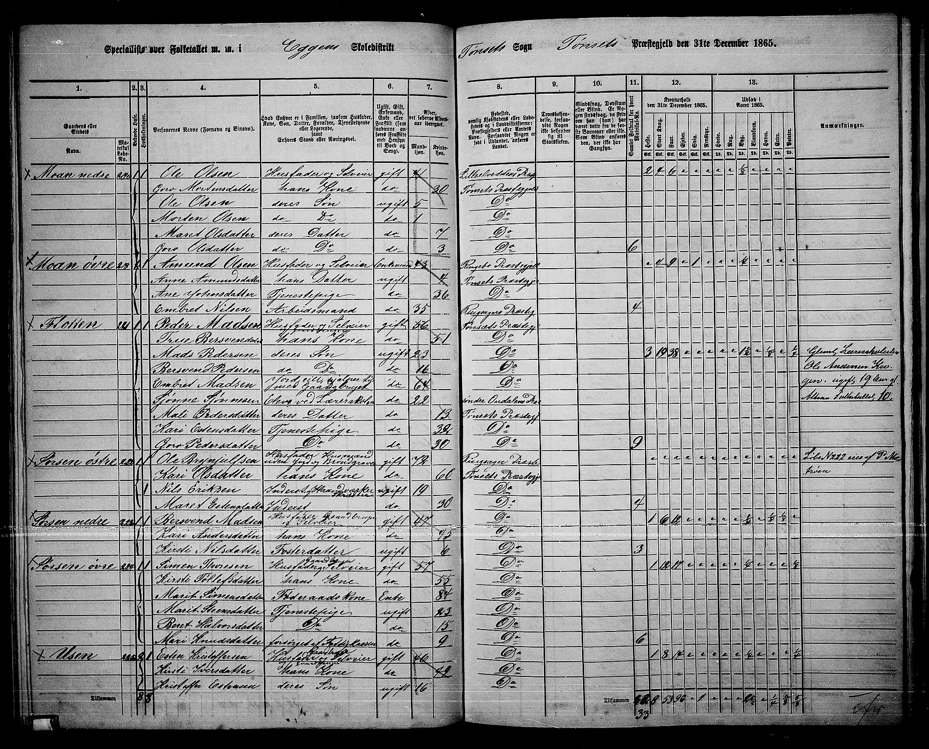 RA, 1865 census for Tynset, 1865, p. 95