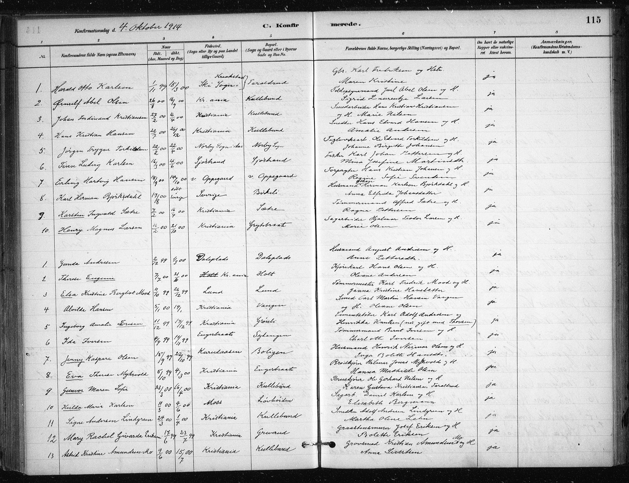 Nesodden prestekontor Kirkebøker, SAO/A-10013/F/Fb/L0001: Parish register (official) no. II 1, 1880-1915, p. 115