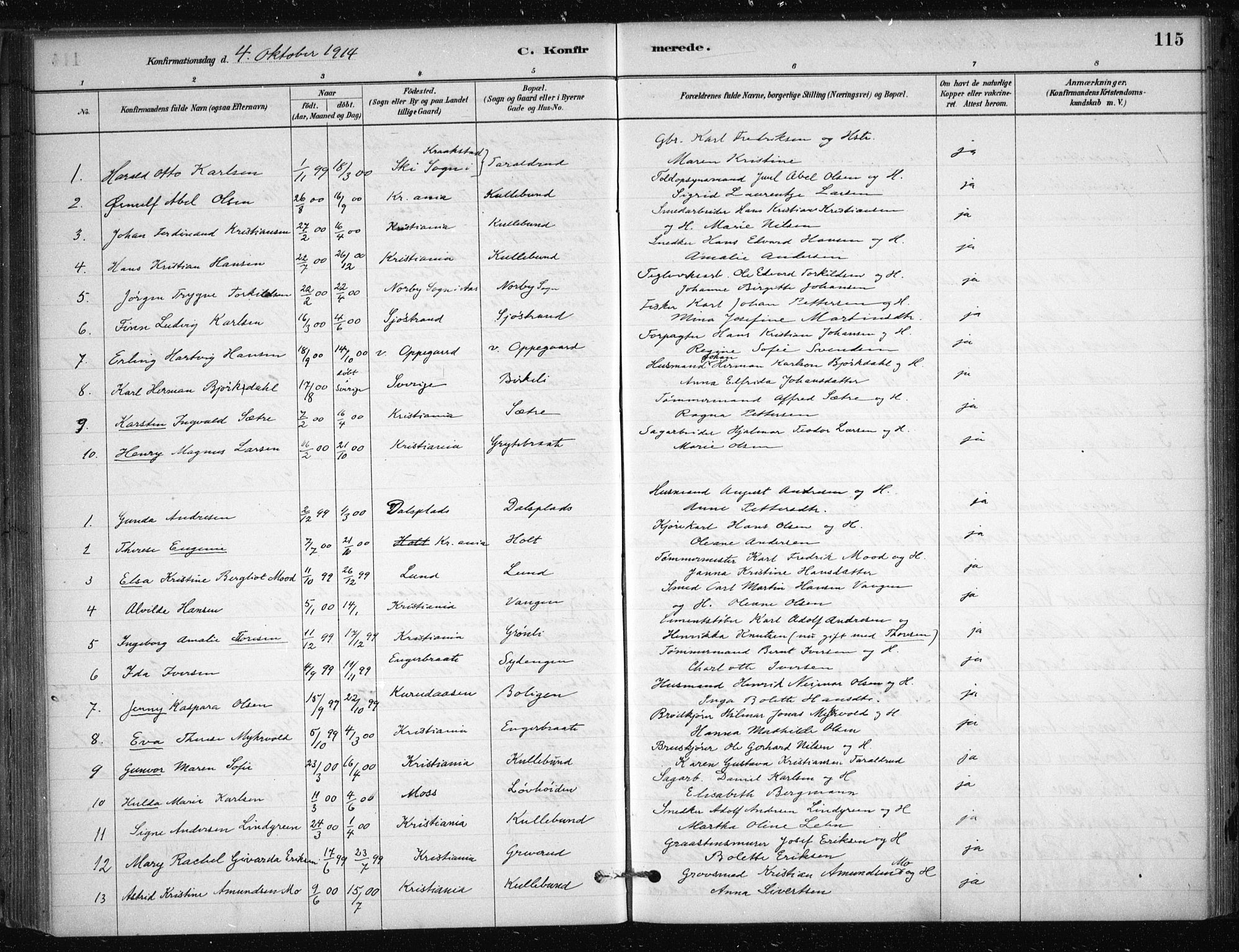 Nesodden prestekontor Kirkebøker, AV/SAO-A-10013/F/Fb/L0001: Parish register (official) no. II 1, 1880-1915, p. 115