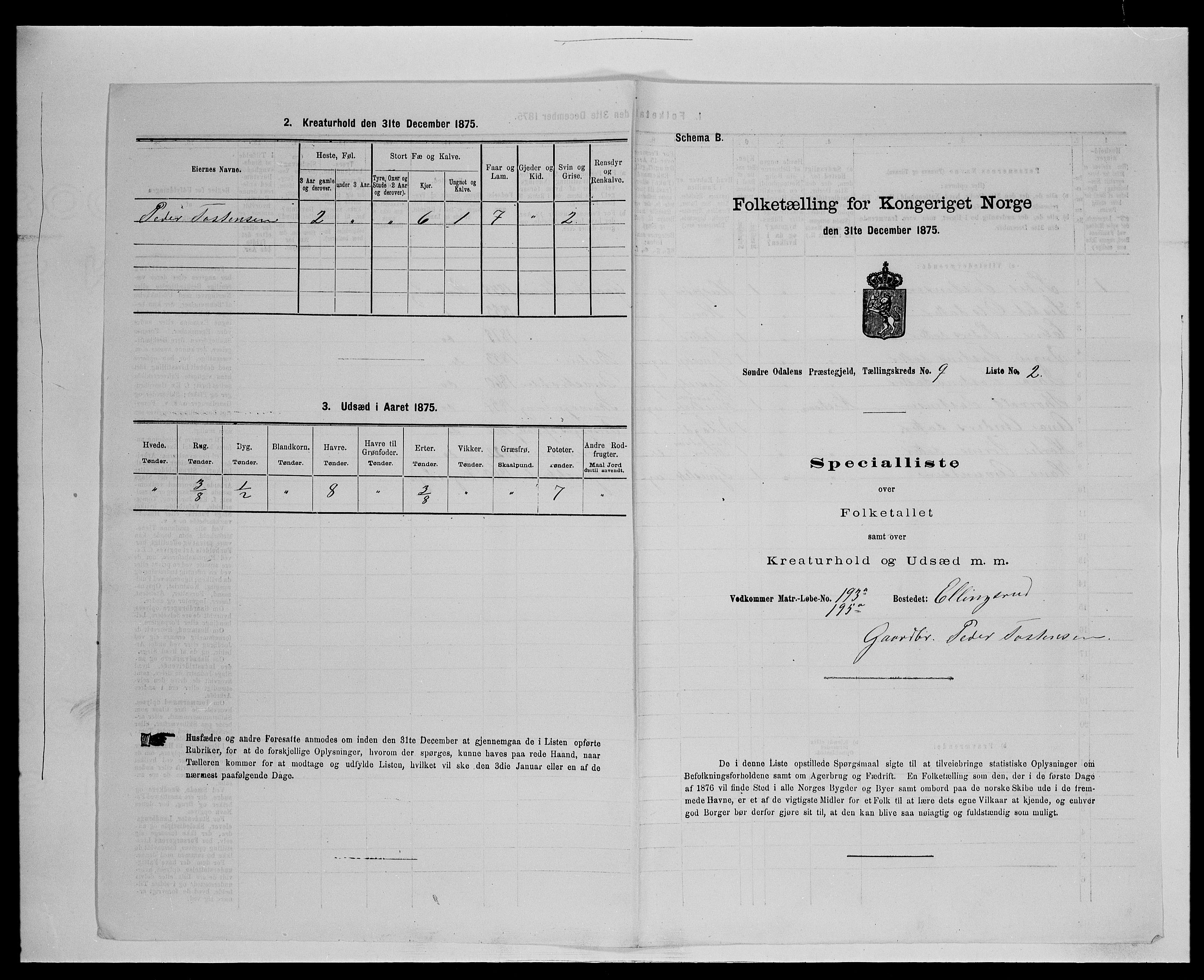 SAH, 1875 census for 0419P Sør-Odal, 1875, p. 881