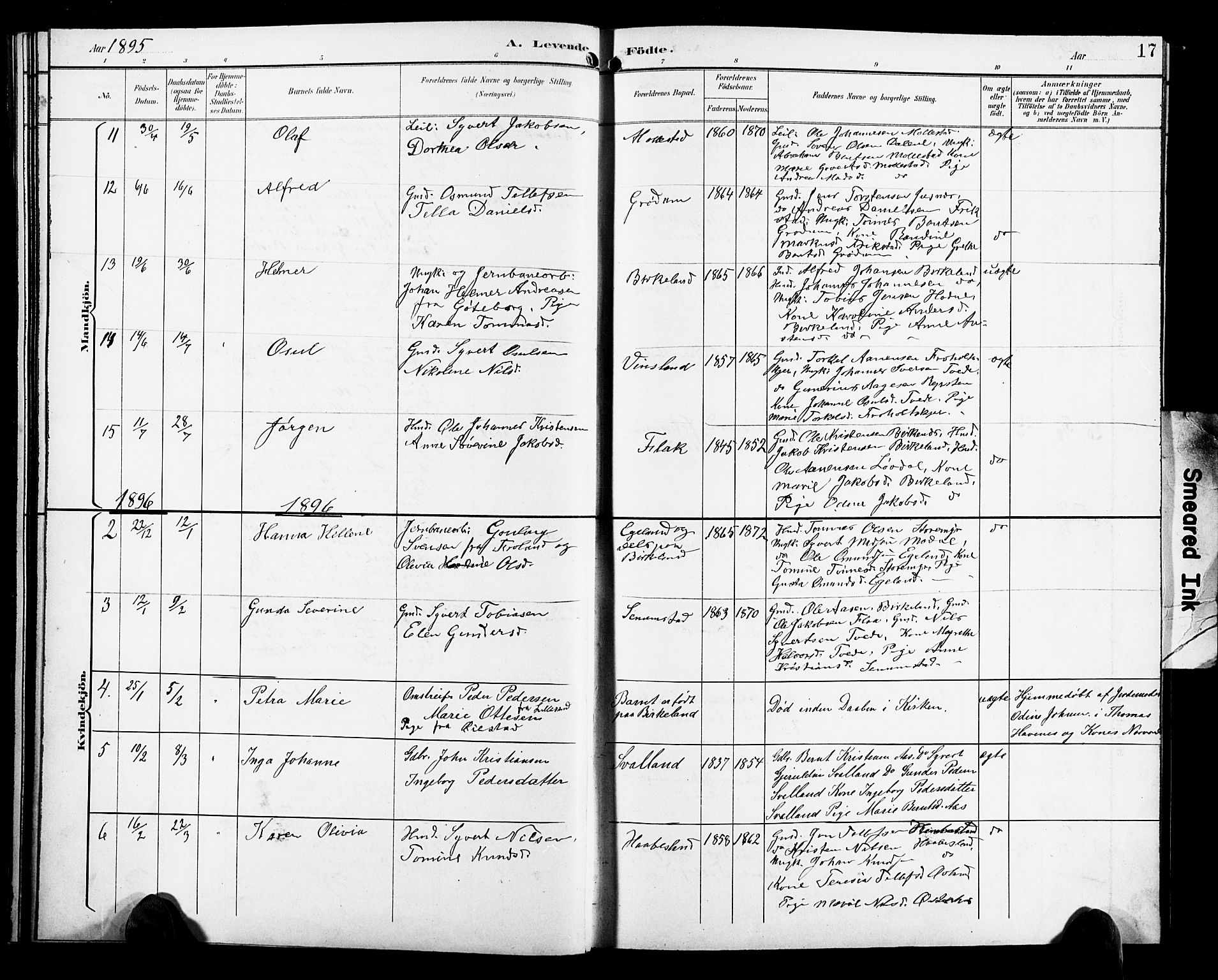 Birkenes sokneprestkontor, AV/SAK-1111-0004/F/Fb/L0004: Parish register (copy) no. B 4, 1893-1930, p. 17