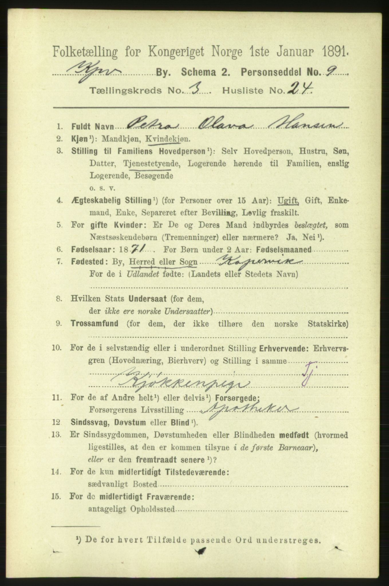 RA, 1891 census for 1105 Kopervik, 1891, p. 373