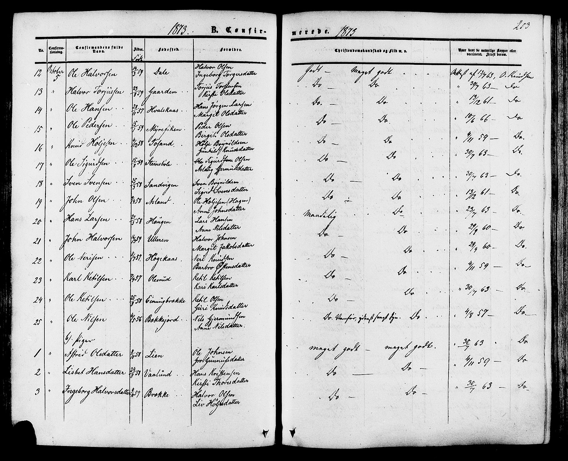 Tinn kirkebøker, SAKO/A-308/F/Fa/L0006: Parish register (official) no. I 6, 1857-1878, p. 203