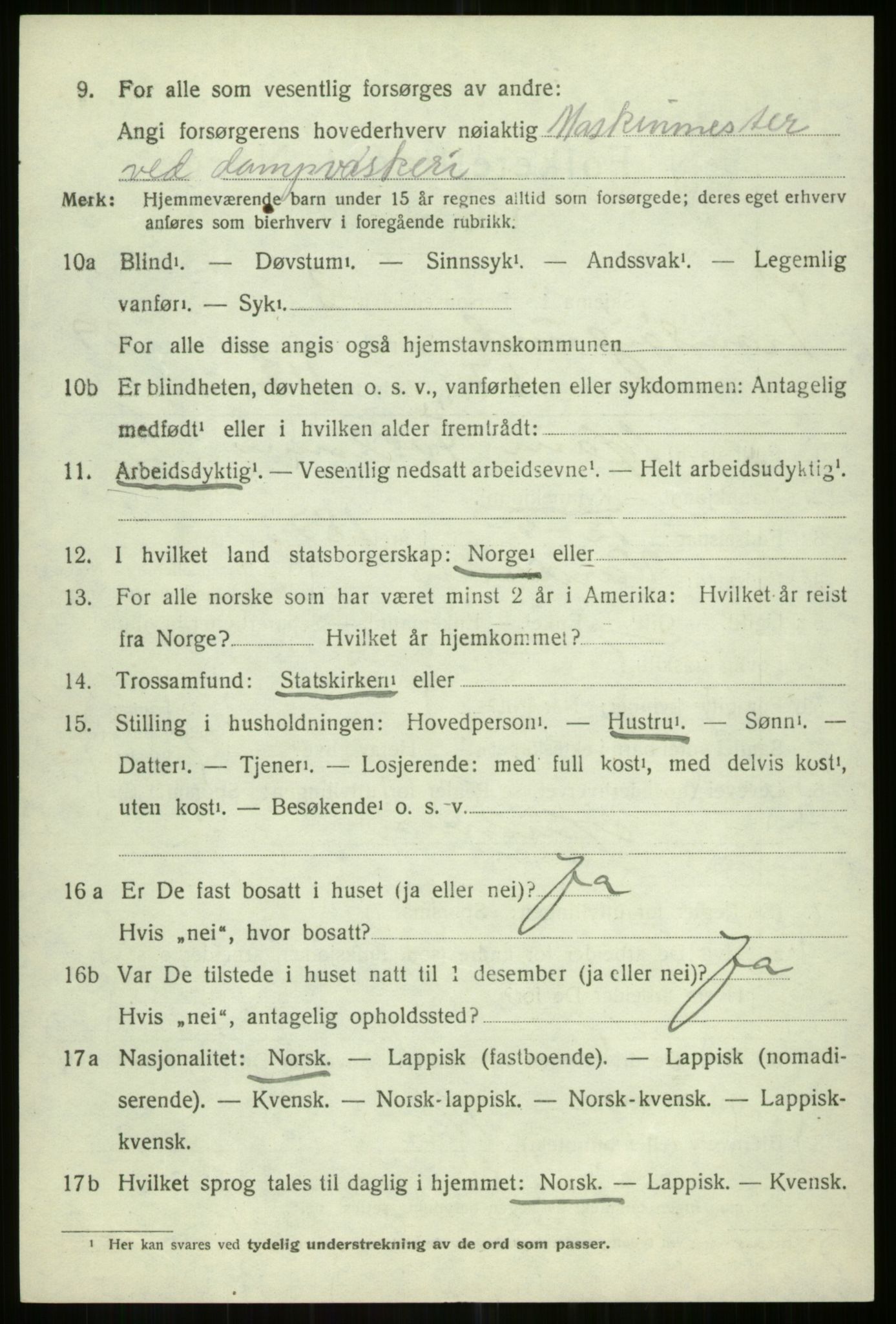 SATØ, 1920 census for Tromsøysund, 1920, p. 14199