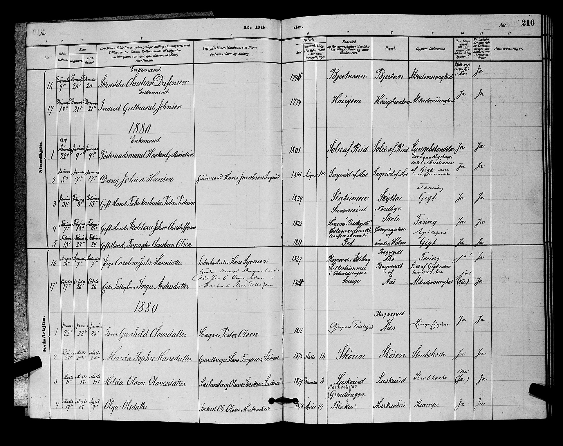 Nittedal prestekontor Kirkebøker, SAO/A-10365a/G/Ga/L0002: Parish register (copy) no. I 2, 1879-1901, p. 216