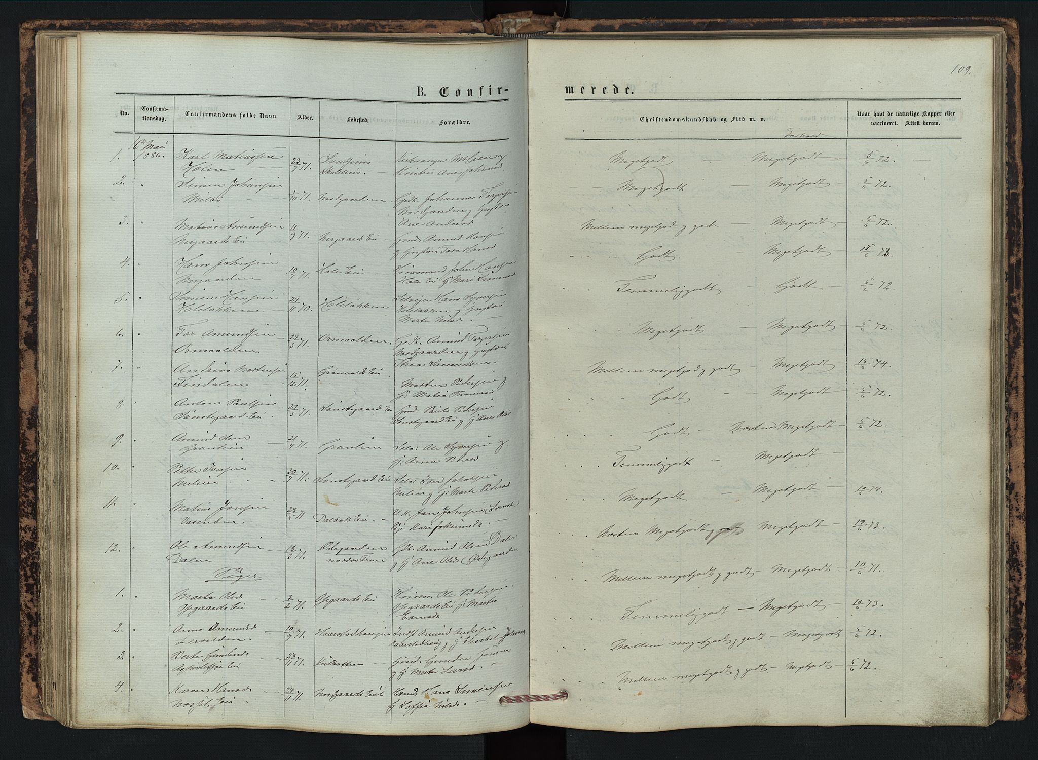 Vestre Gausdal prestekontor, SAH/PREST-094/H/Ha/Hab/L0002: Parish register (copy) no. 2, 1874-1897, p. 109