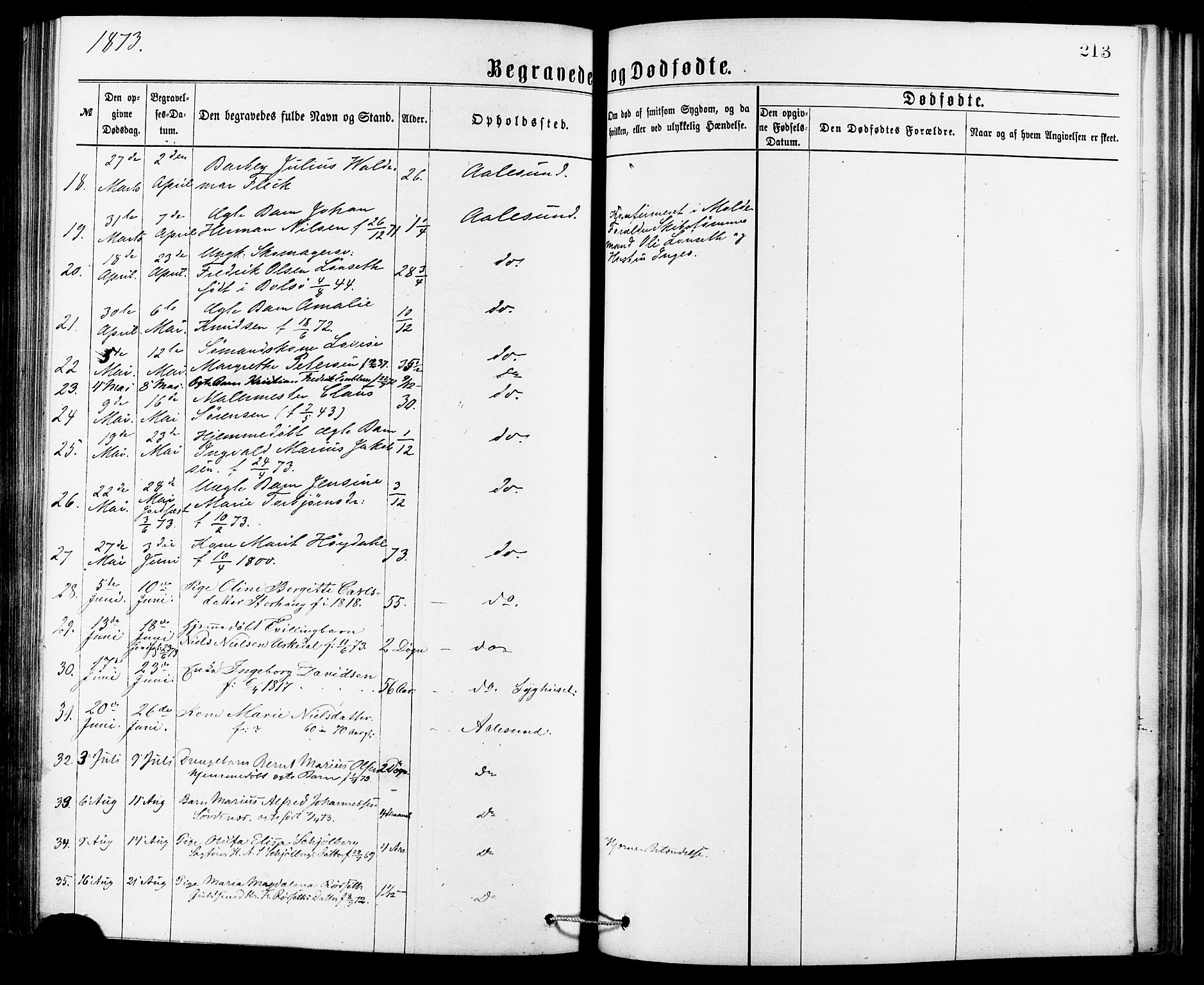 Ministerialprotokoller, klokkerbøker og fødselsregistre - Møre og Romsdal, AV/SAT-A-1454/529/L0453: Parish register (official) no. 529A03, 1872-1877, p. 213