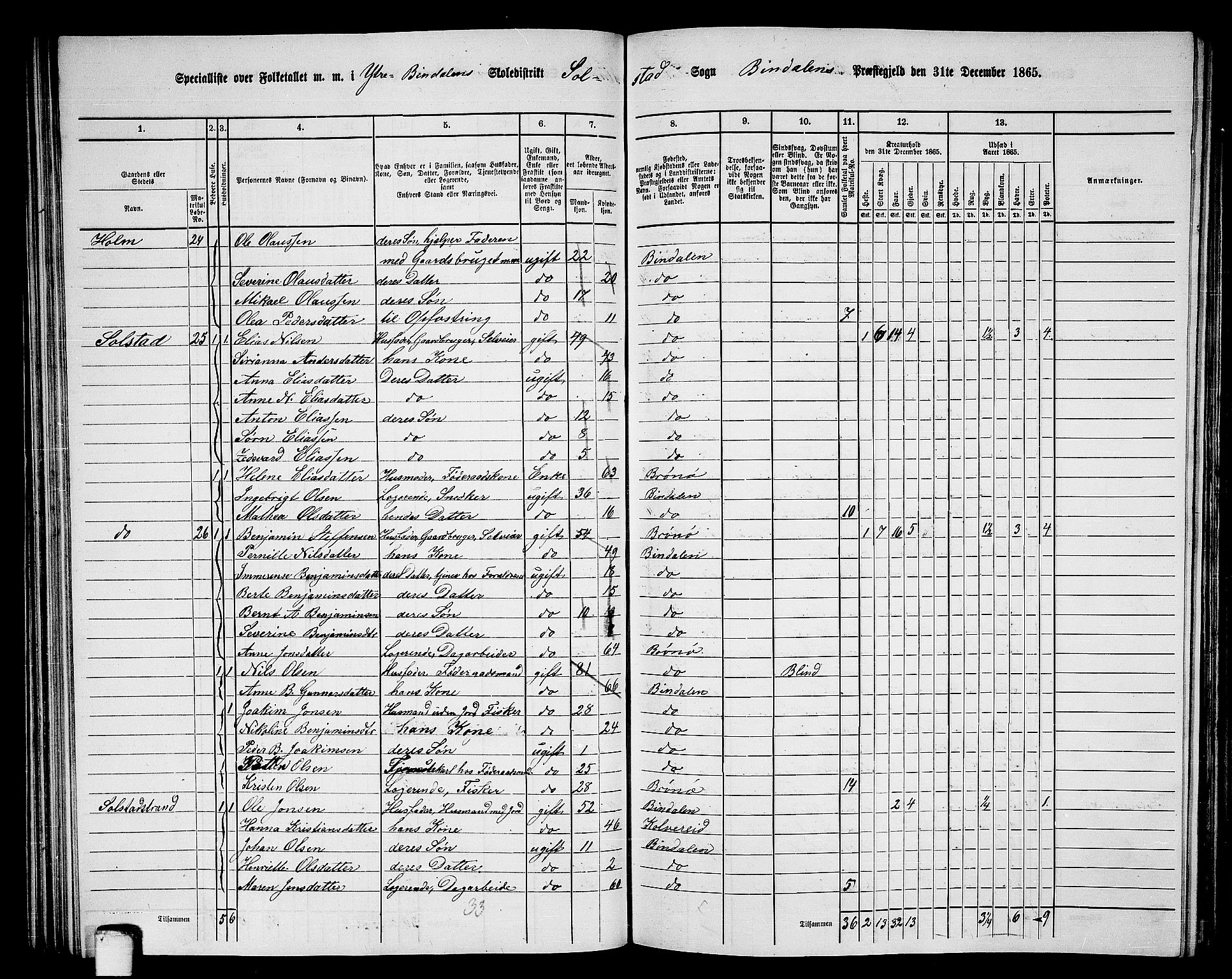 RA, 1865 census for Bindal, 1865, p. 51