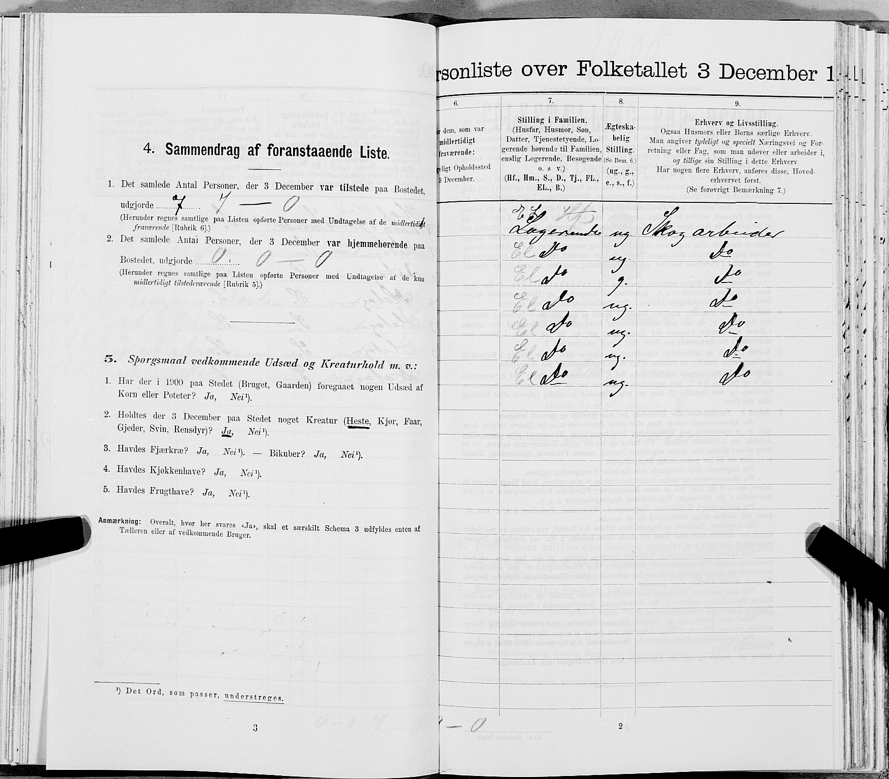 SAT, 1900 census for Lierne, 1900, p. 618