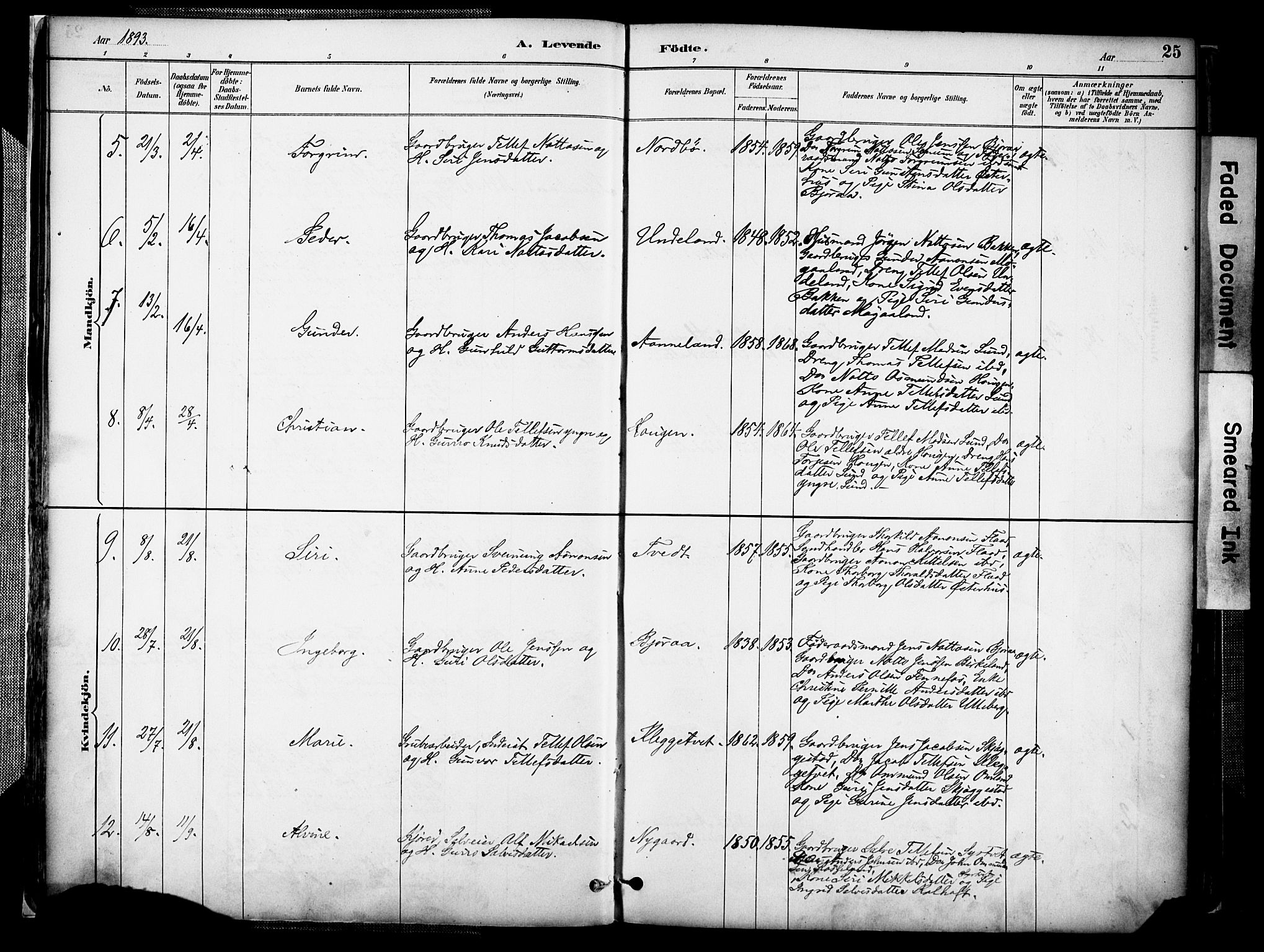 Evje sokneprestkontor, AV/SAK-1111-0008/F/Fa/Faa/L0007: Parish register (official) no. A 7, 1884-1909, p. 25