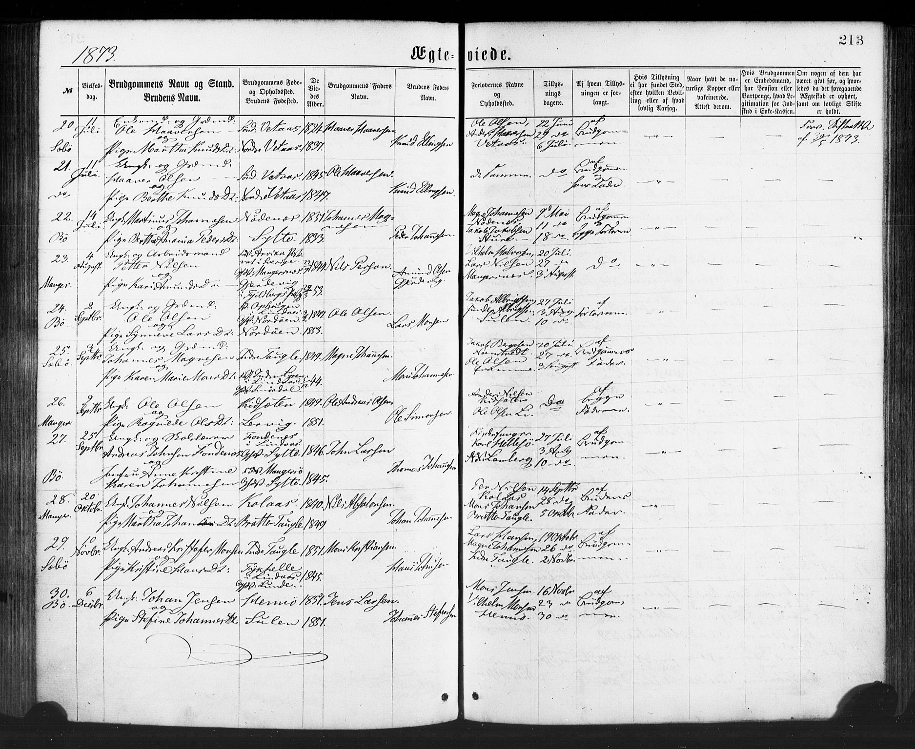 Manger sokneprestembete, AV/SAB-A-76801/H/Haa: Parish register (official) no. A 8, 1871-1880, p. 213