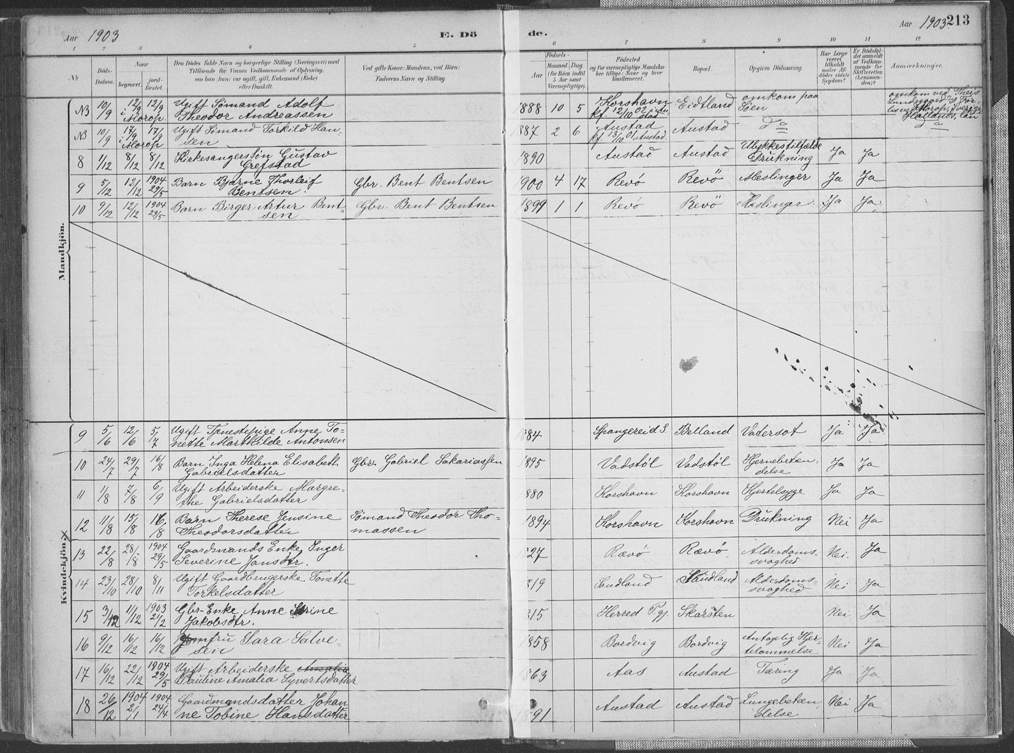 Lyngdal sokneprestkontor, SAK/1111-0029/F/Fa/Faa/L0004: Parish register (official) no. A 4, 1883-1904, p. 213