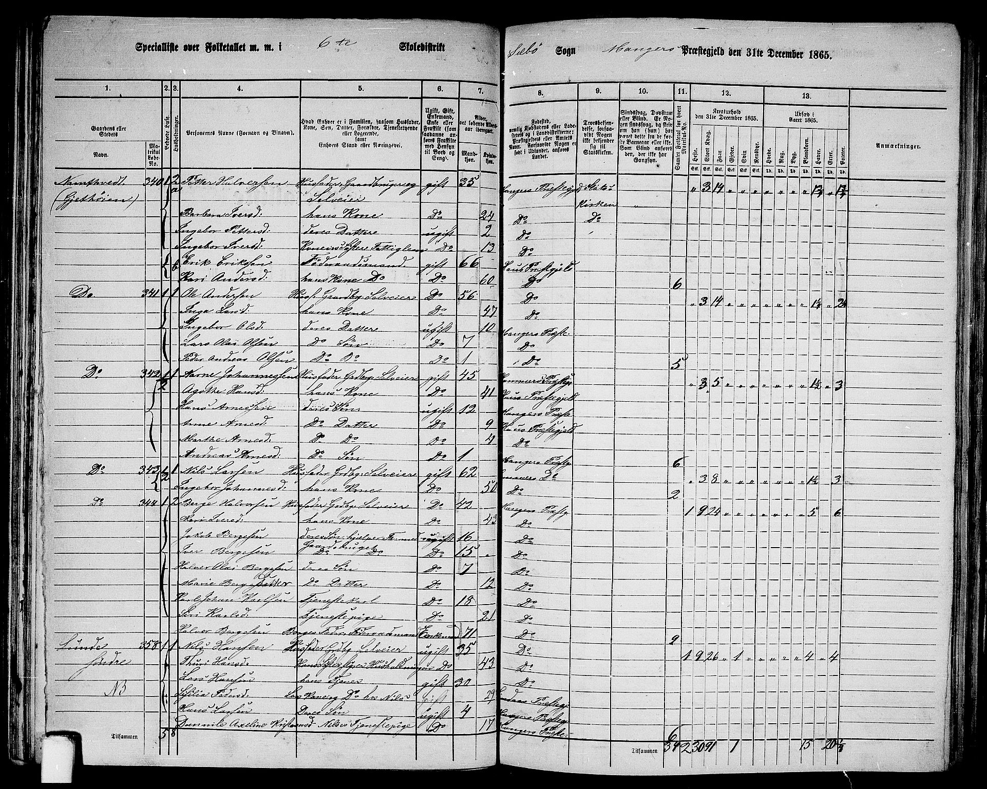 RA, 1865 census for Manger, 1865, p. 95