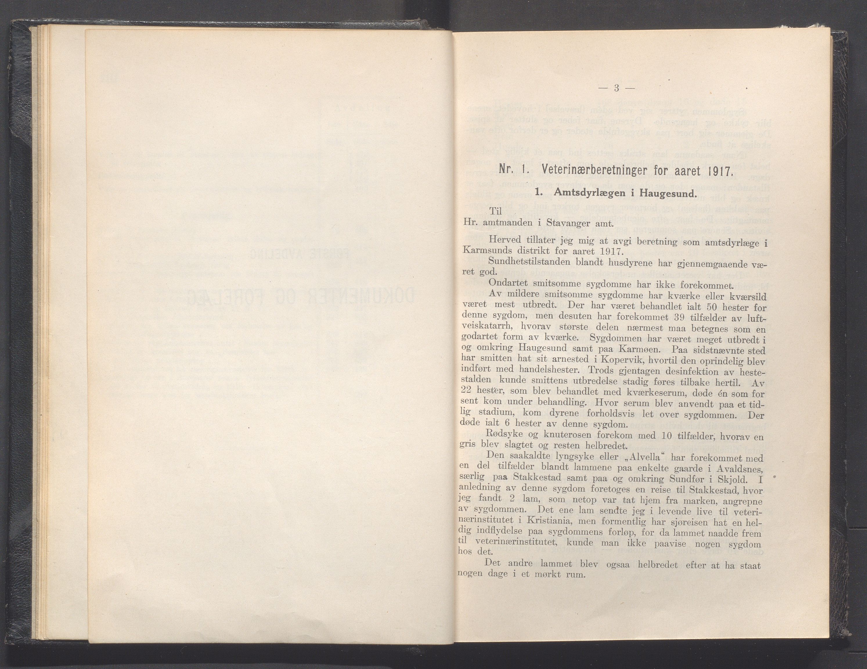 Rogaland fylkeskommune - Fylkesrådmannen , IKAR/A-900/A, 1919, p. 9