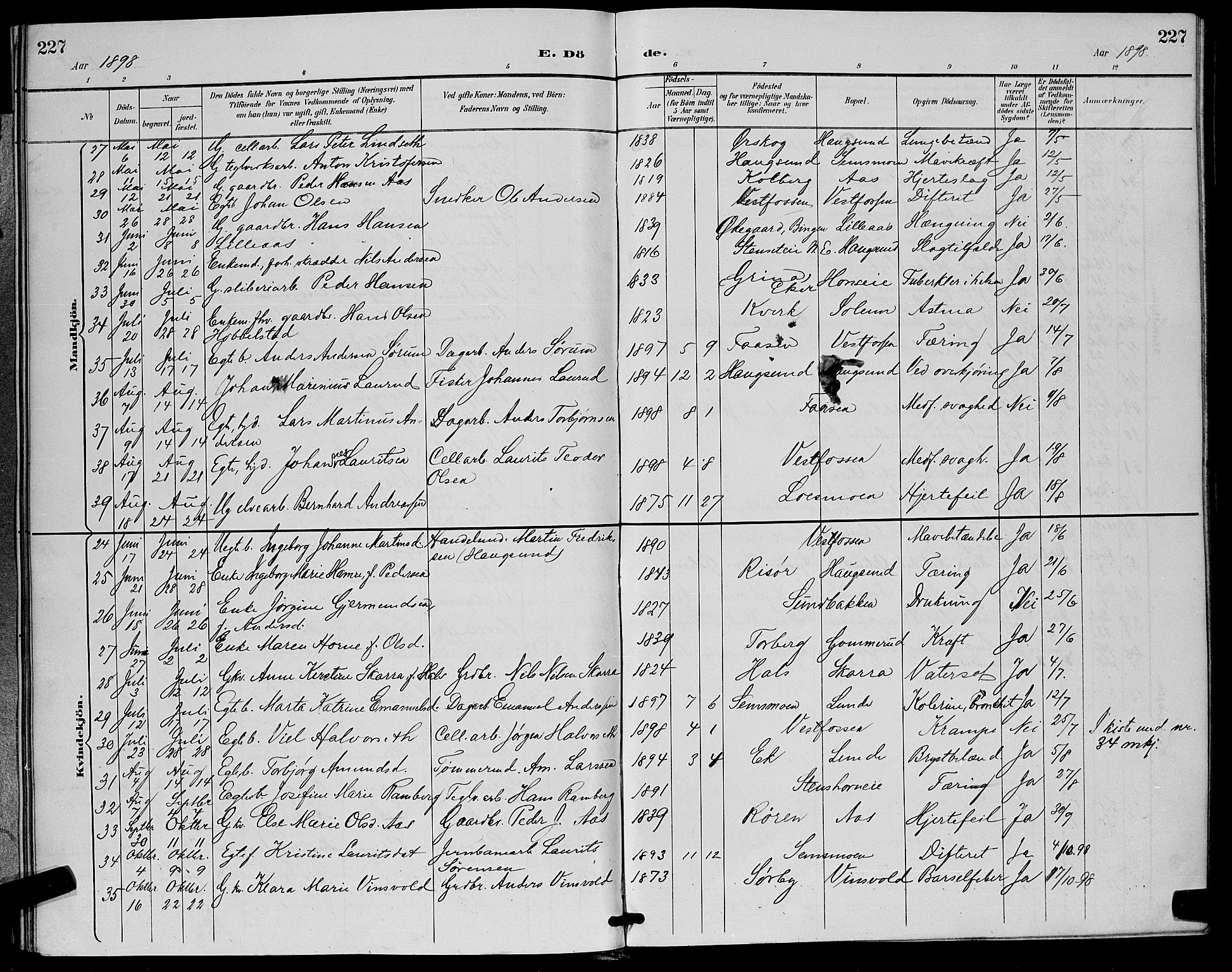 Eiker kirkebøker, SAKO/A-4/G/Ga/L0007: Parish register (copy) no. I 7, 1893-1902, p. 227