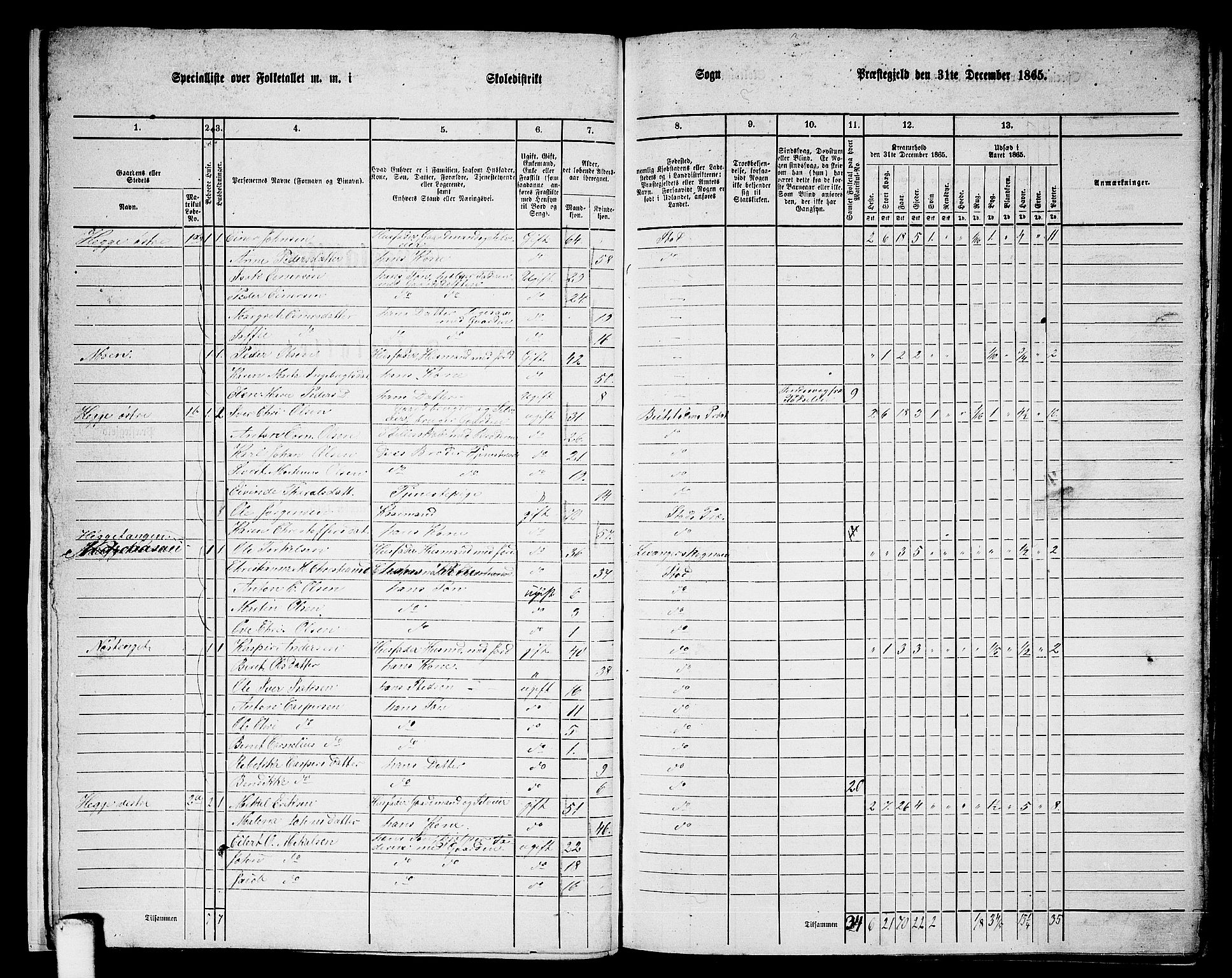 RA, 1865 census for Stod, 1865, p. 13