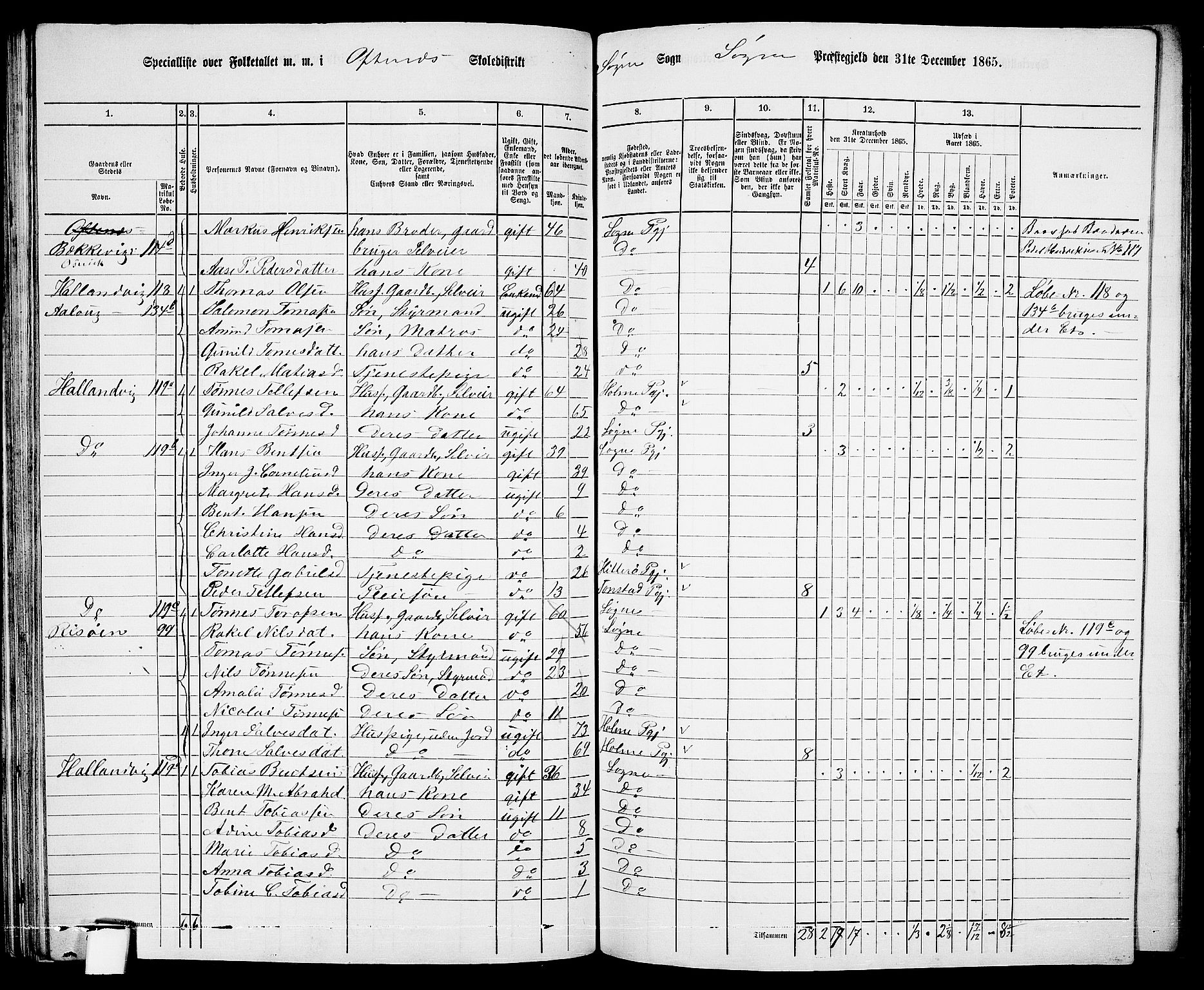 RA, 1865 census for Søgne, 1865, p. 80