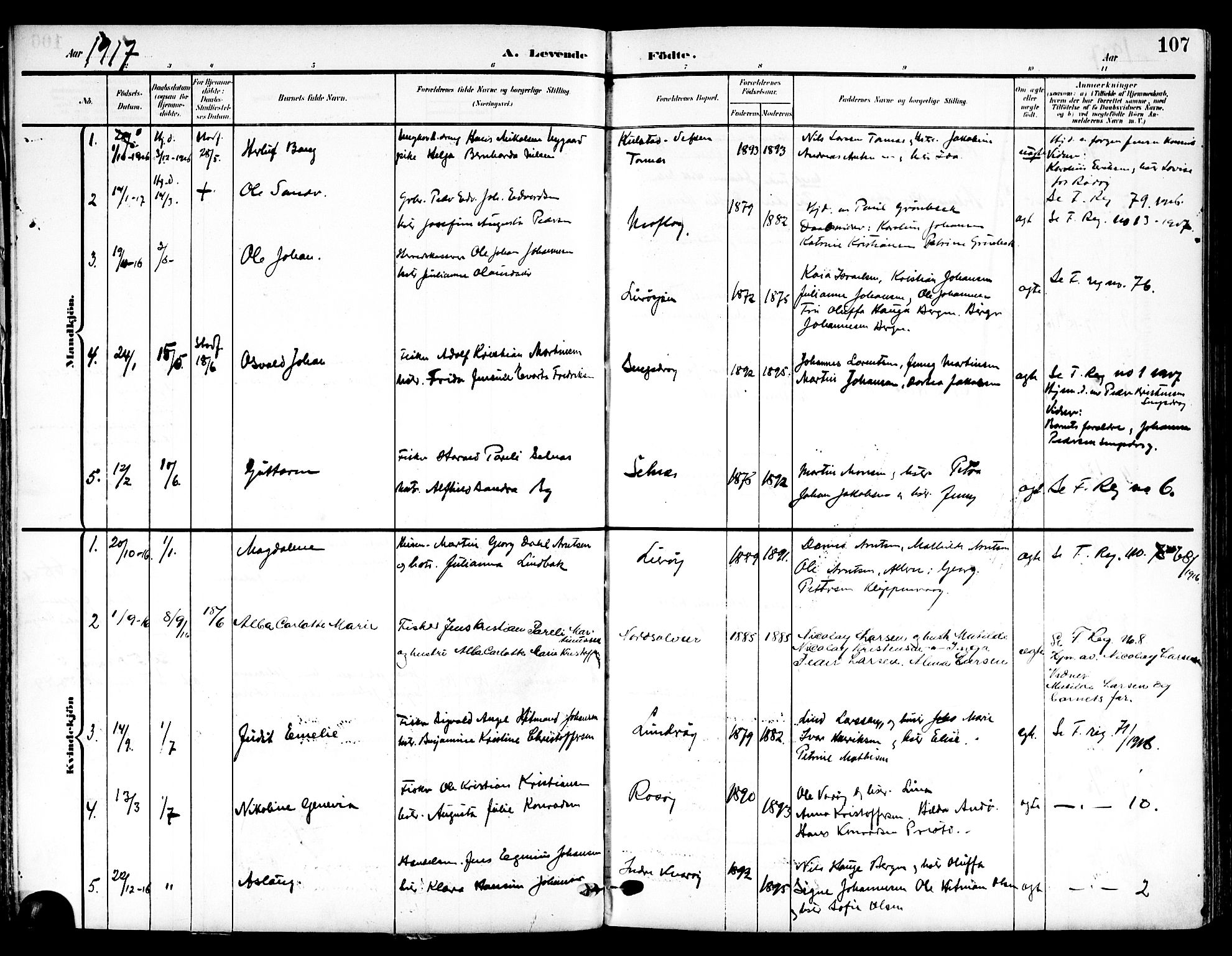 Ministerialprotokoller, klokkerbøker og fødselsregistre - Nordland, SAT/A-1459/839/L0569: Parish register (official) no. 839A06, 1903-1922, p. 107