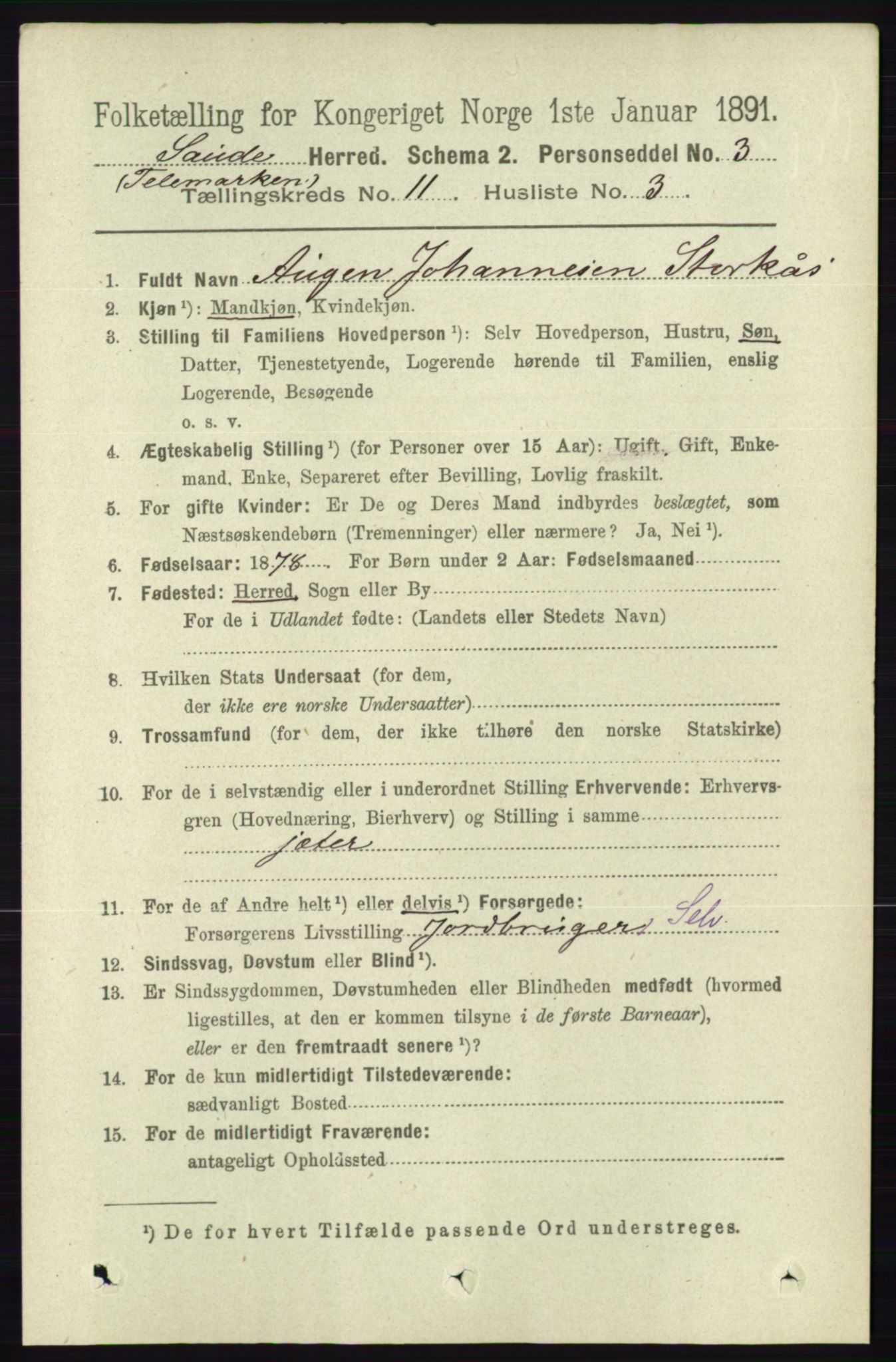 RA, 1891 census for 0822 Sauherad, 1891, p. 3388