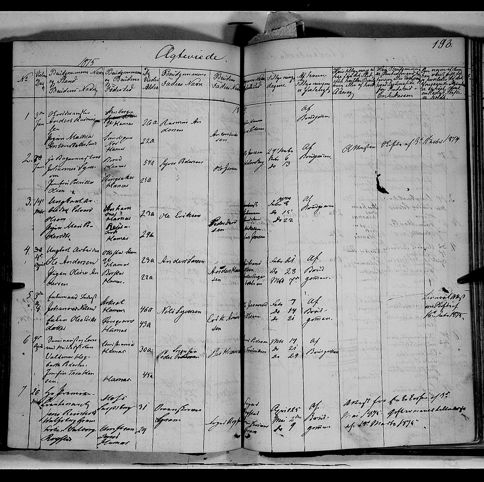 Vang prestekontor, Hedmark, SAH/PREST-008/H/Ha/Haa/L0011: Parish register (official) no. 11, 1852-1877, p. 193