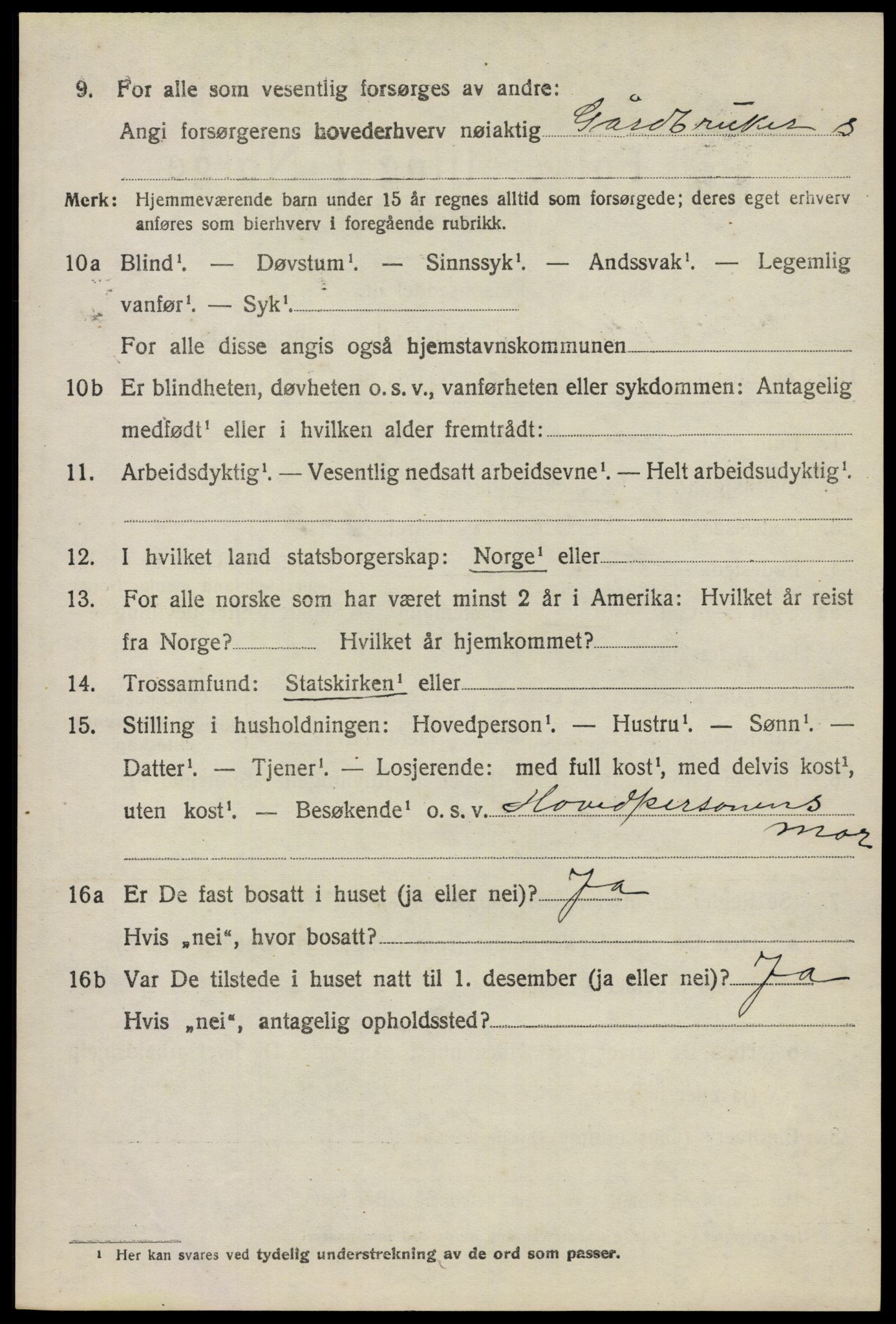 SAO, 1920 census for Nes, 1920, p. 6631