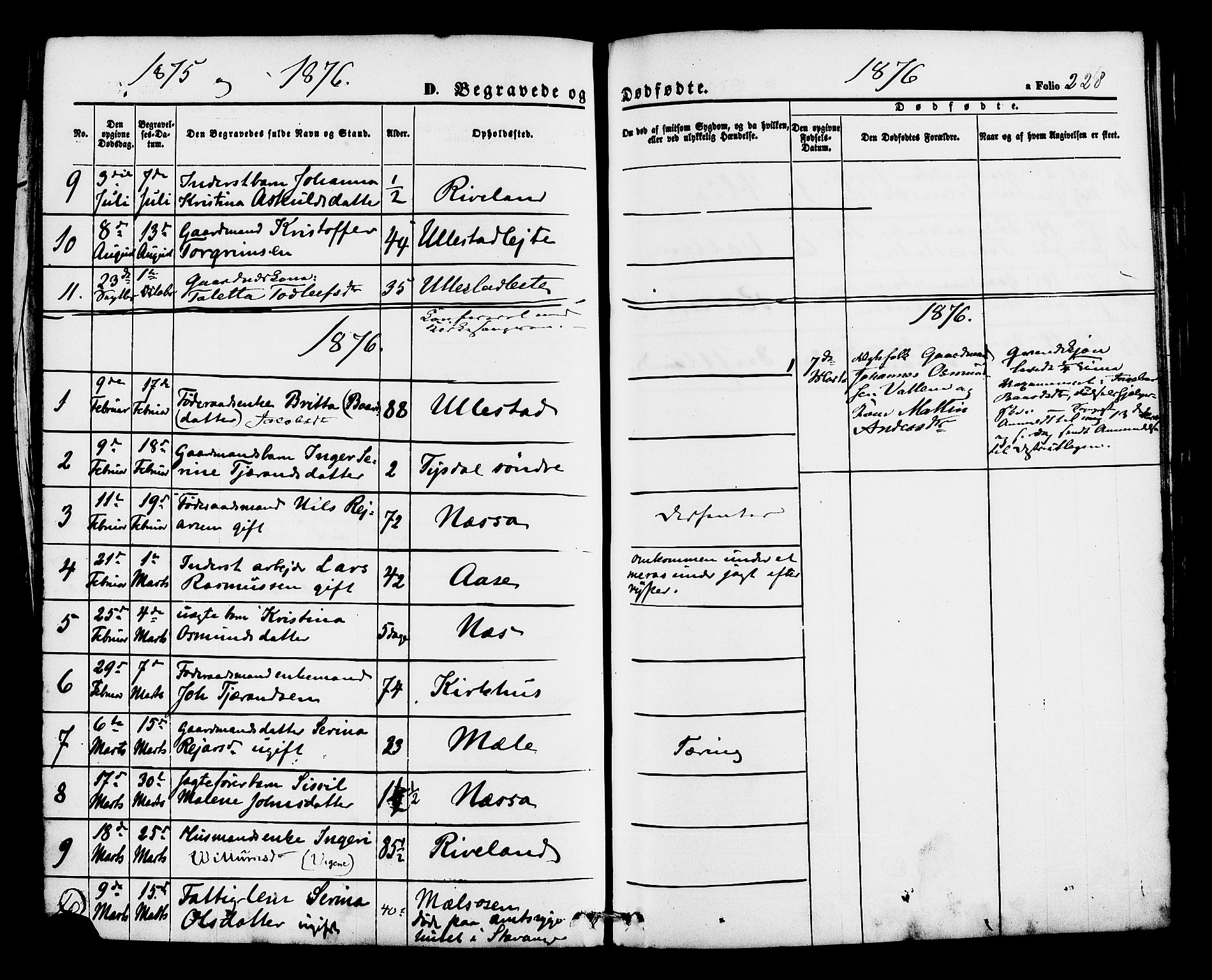 Hjelmeland sokneprestkontor, AV/SAST-A-101843/01/IV/L0012: Parish register (official) no. A 12, 1862-1886, p. 228