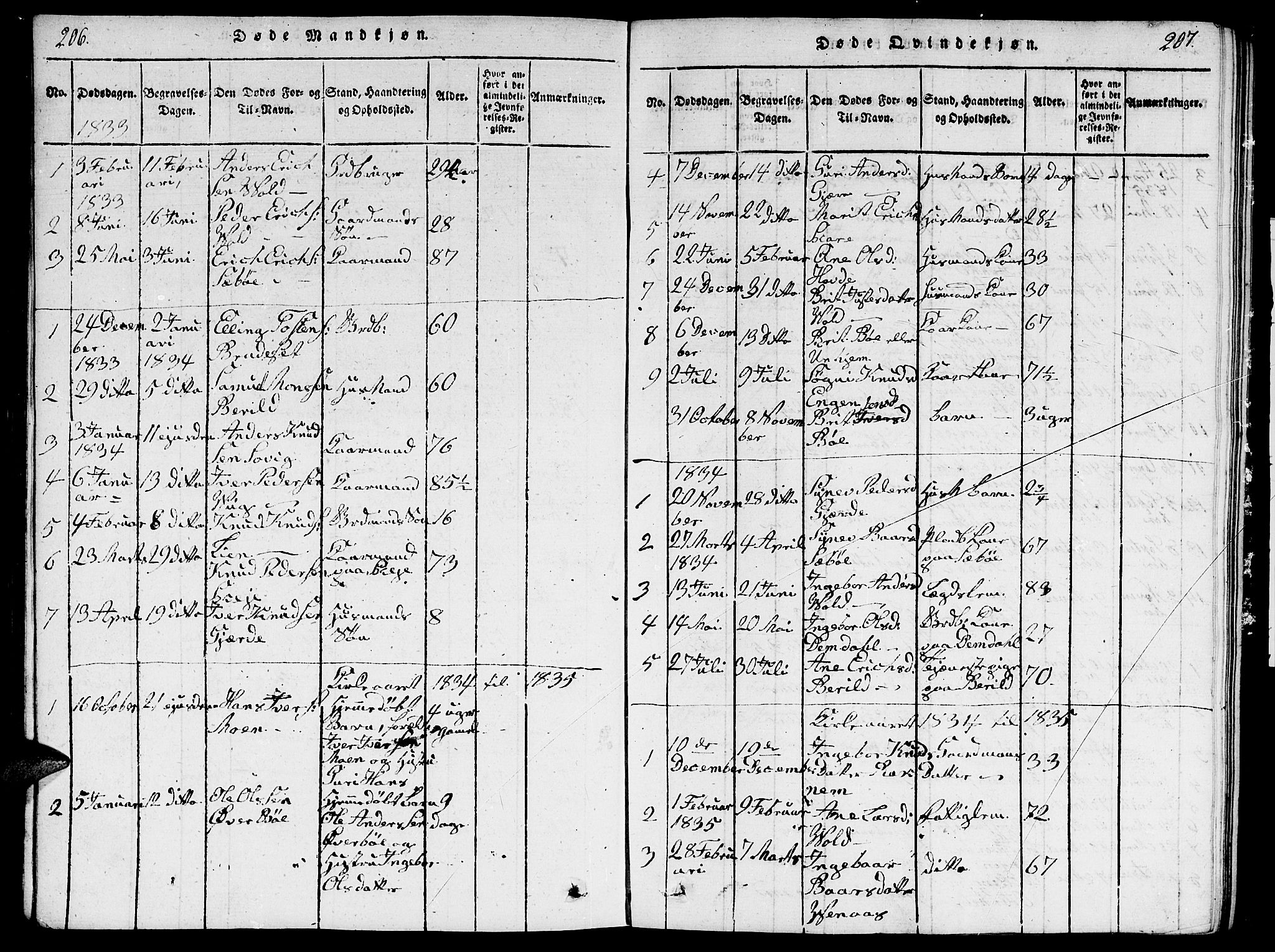 Ministerialprotokoller, klokkerbøker og fødselsregistre - Møre og Romsdal, SAT/A-1454/543/L0563: Parish register (copy) no. 543C01, 1818-1836, p. 206-207