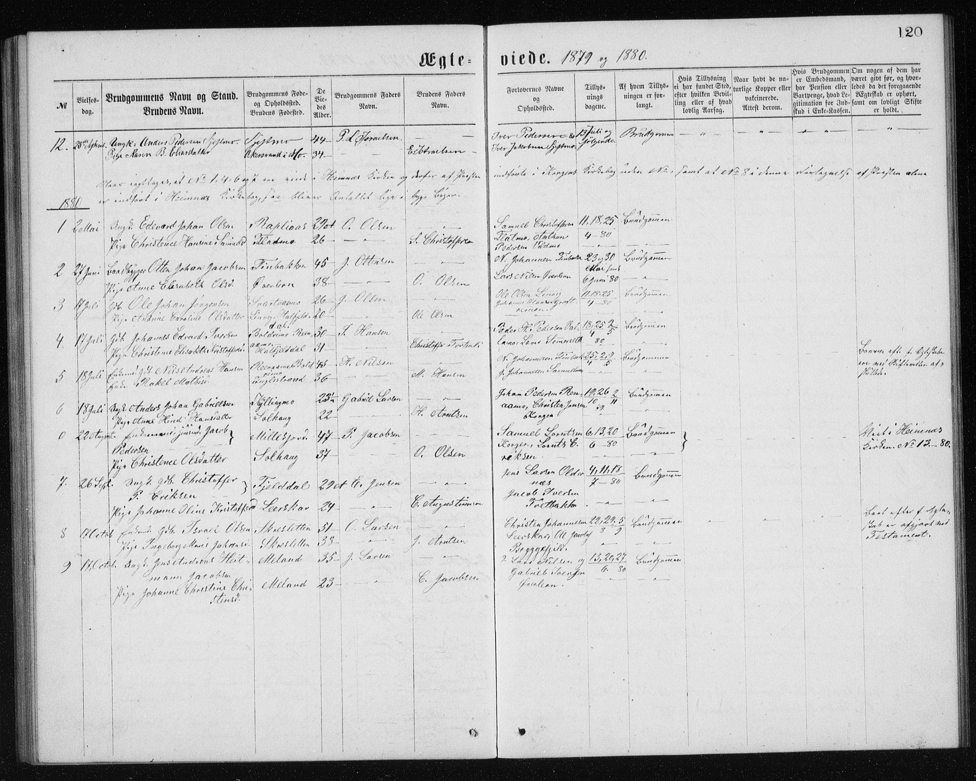 Ministerialprotokoller, klokkerbøker og fødselsregistre - Nordland, AV/SAT-A-1459/826/L0381: Parish register (copy) no. 826C01, 1877-1886, p. 120