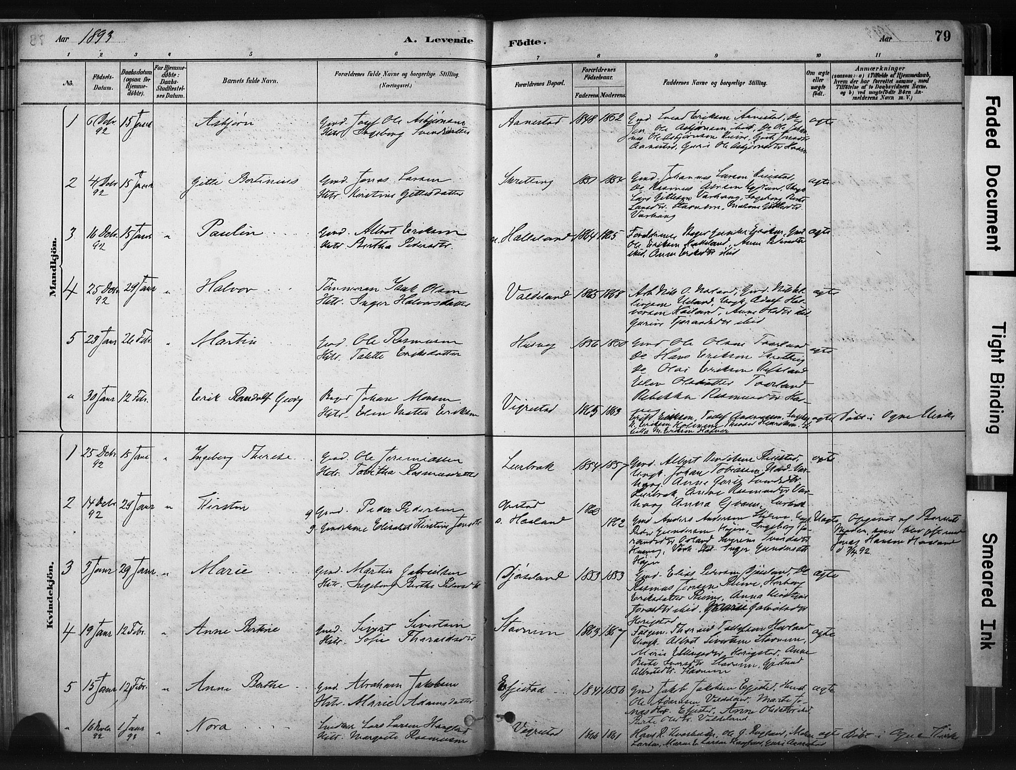 Hå sokneprestkontor, AV/SAST-A-101801/001/30BA/L0011: Parish register (official) no. A 10, 1879-1900, p. 79