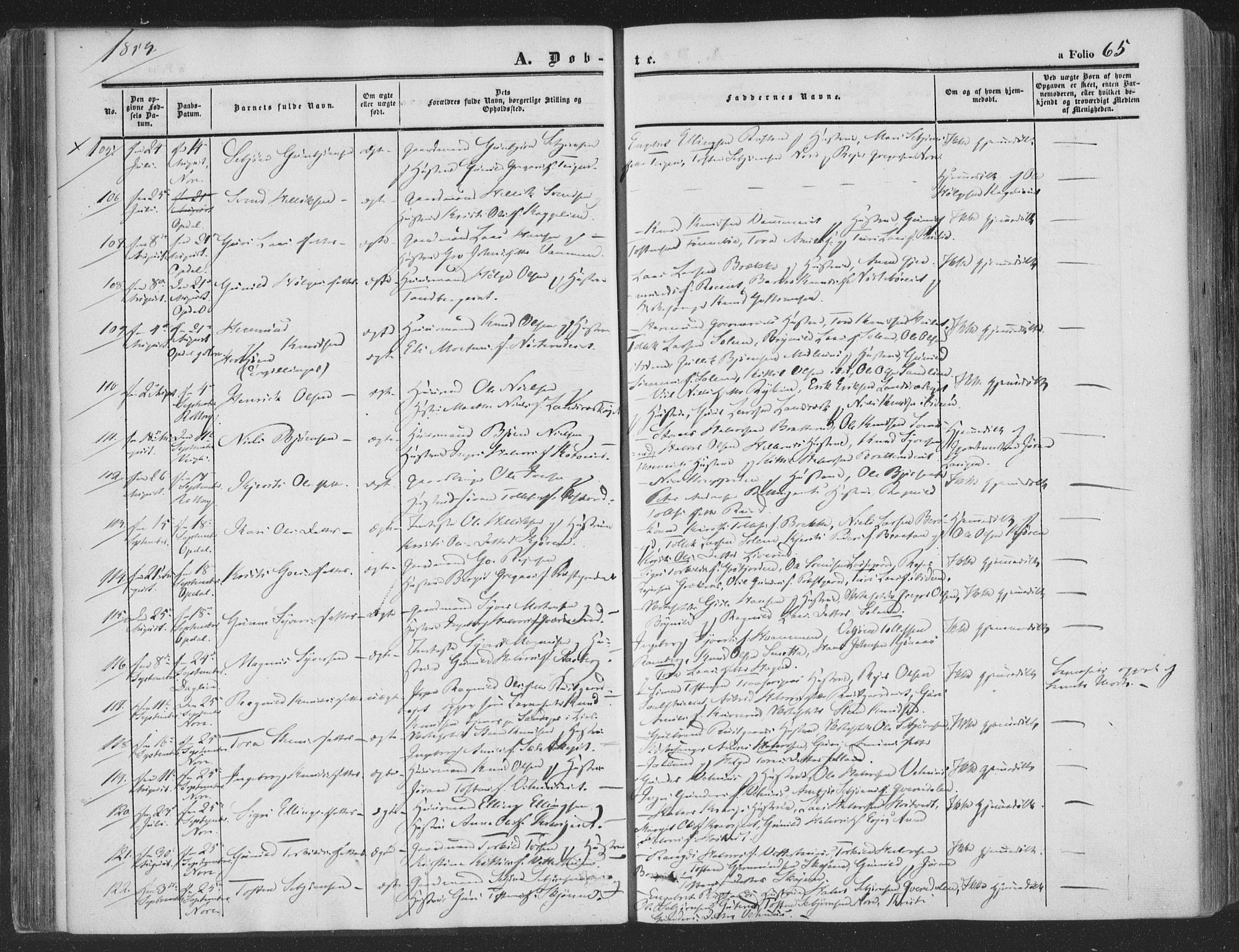 Rollag kirkebøker, SAKO/A-240/F/Fa/L0008: Parish register (official) no. I 8, 1847-1860, p. 65
