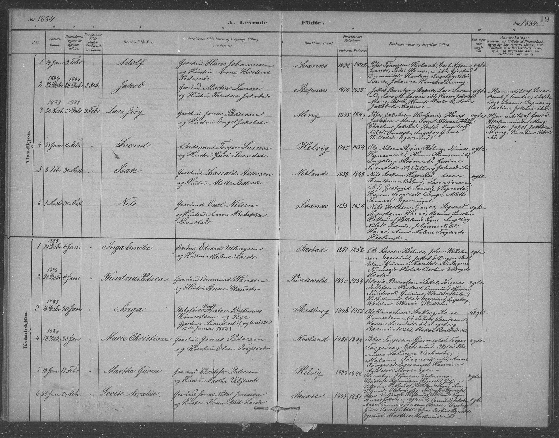 Eigersund sokneprestkontor, AV/SAST-A-101807/S09/L0007: Parish register (copy) no. B 7, 1882-1892, p. 19