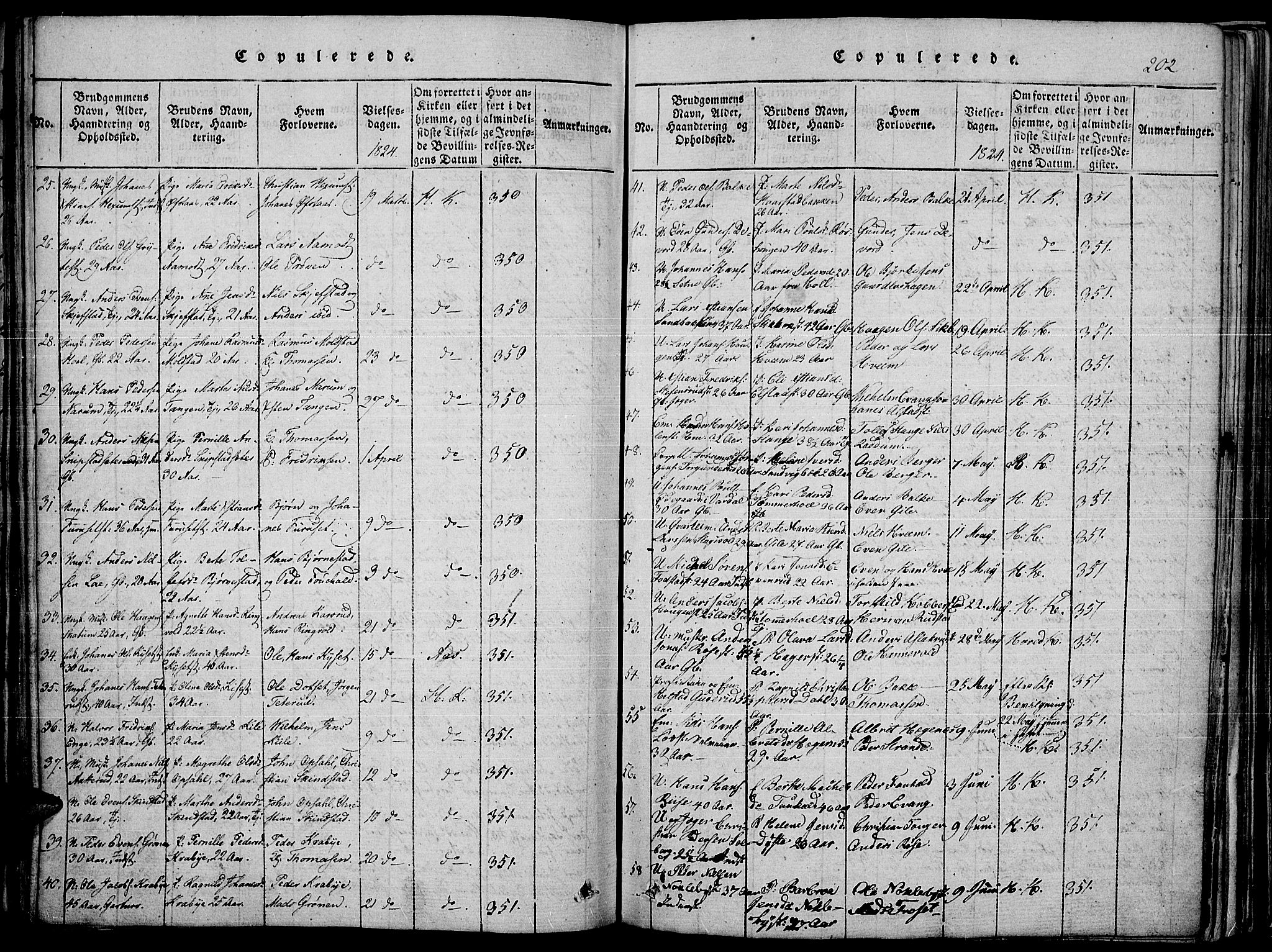 Toten prestekontor, SAH/PREST-102/H/Ha/Haa/L0010: Parish register (official) no. 10, 1820-1828, p. 202