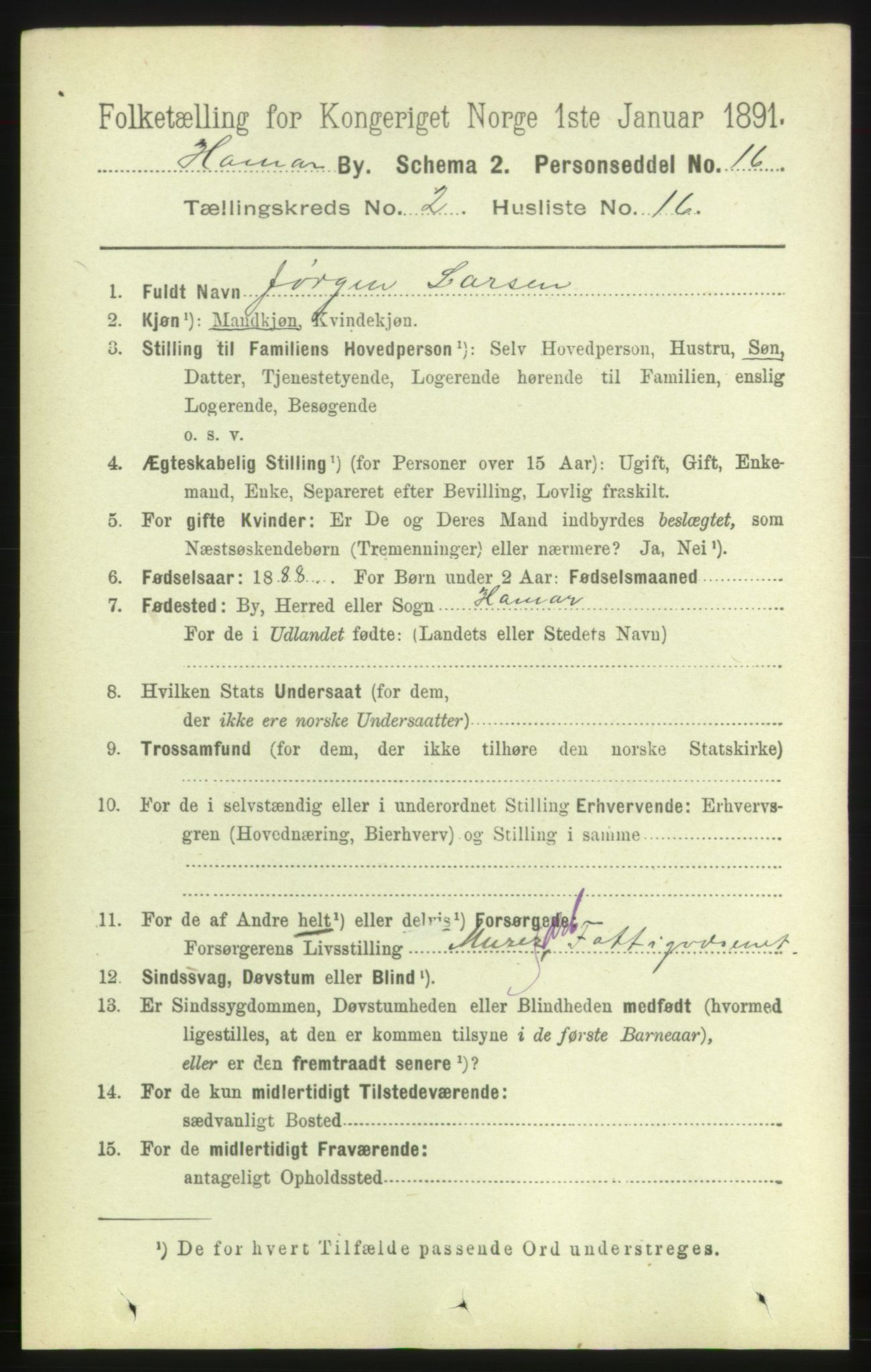 RA, 1891 census for 0401 Hamar, 1891, p. 1213