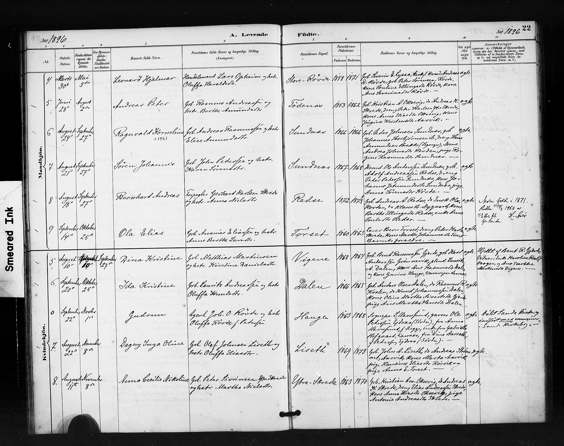 Ministerialprotokoller, klokkerbøker og fødselsregistre - Møre og Romsdal, AV/SAT-A-1454/504/L0056: Parish register (official) no. 504A03, 1884-1904, p. 22