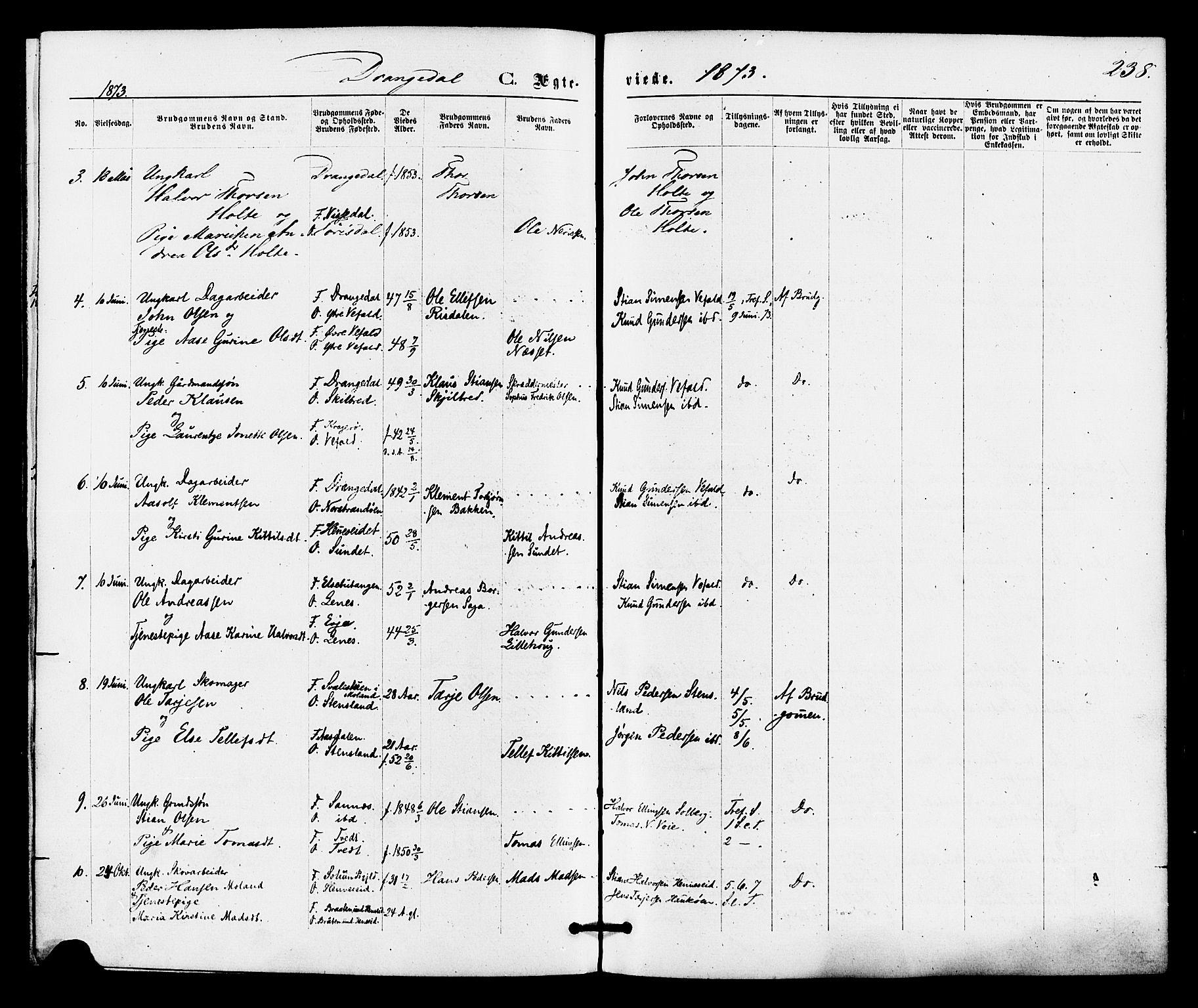 Drangedal kirkebøker, SAKO/A-258/F/Fa/L0009: Parish register (official) no. 9 /1, 1872-1884, p. 238