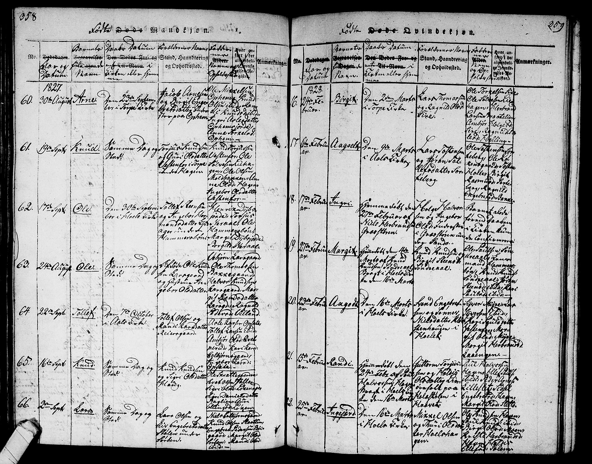 Ål kirkebøker, SAKO/A-249/G/Ga/L0001: Parish register (copy) no. 1, 1815-1829, p. 358-359