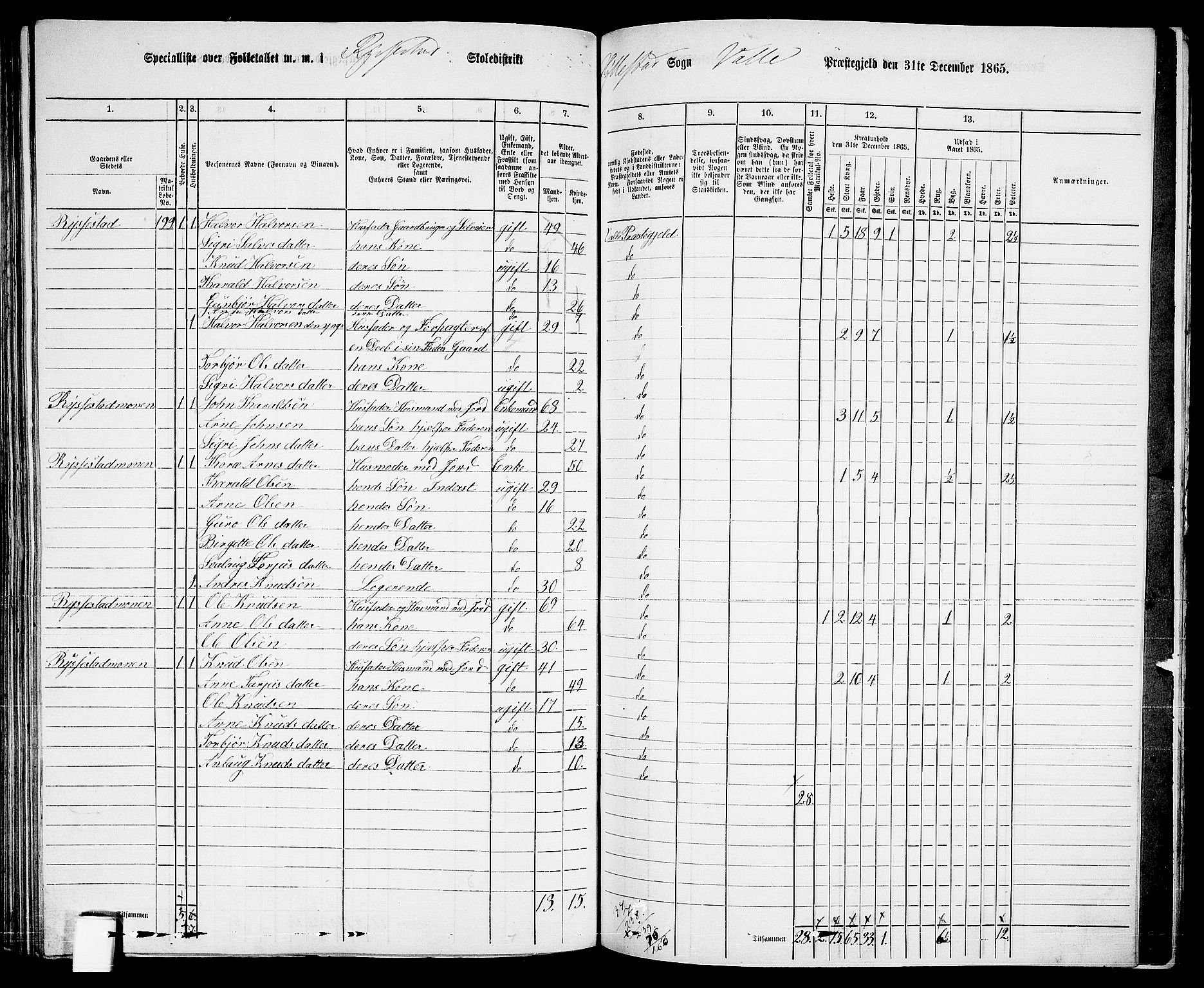 RA, 1865 census for Valle, 1865, p. 128