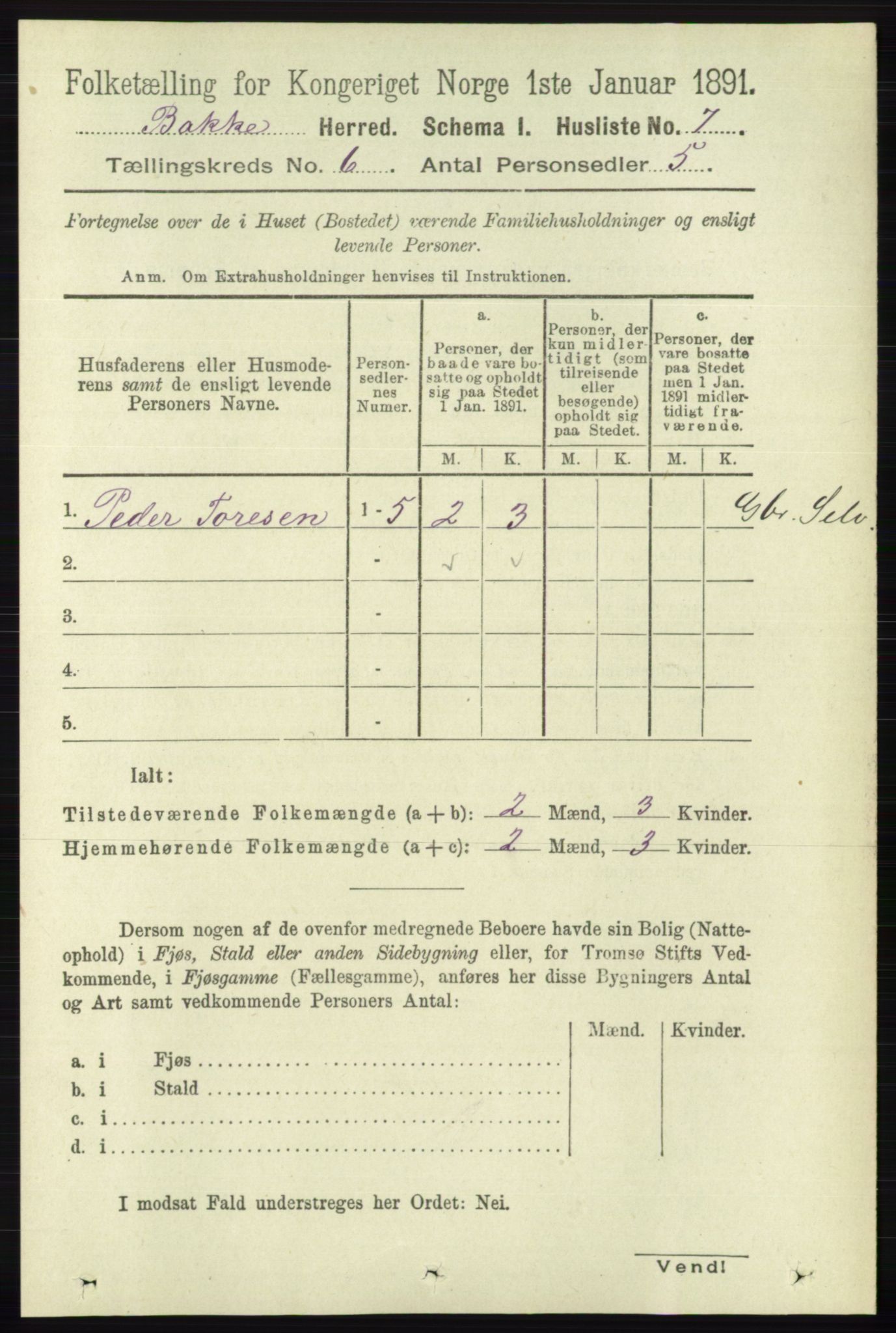 RA, 1891 census for 1045 Bakke, 1891, p. 1155