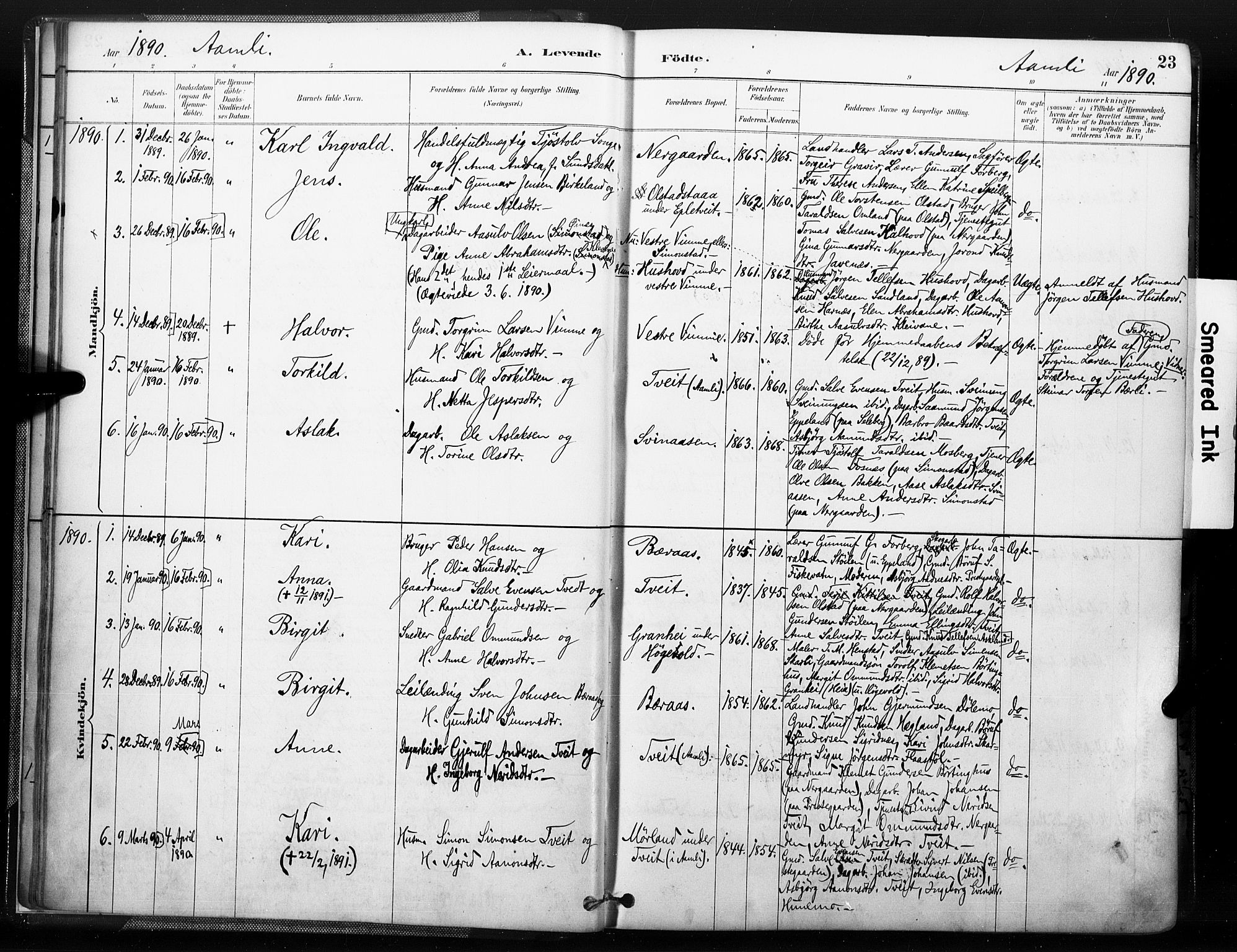 Åmli sokneprestkontor, AV/SAK-1111-0050/F/Fa/Fac/L0010: Parish register (official) no. A 10 /1, 1885-1899, p. 23