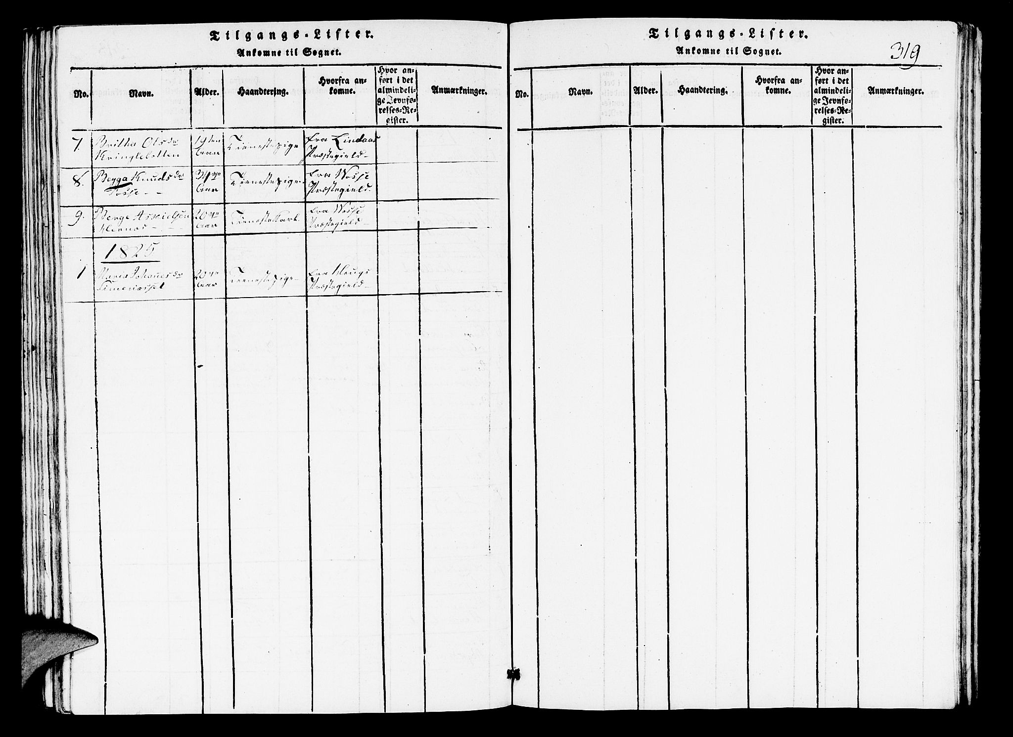 Hosanger sokneprestembete, AV/SAB-A-75801/H/Hab: Parish register (copy) no. A 1 /3, 1816-1825, p. 319