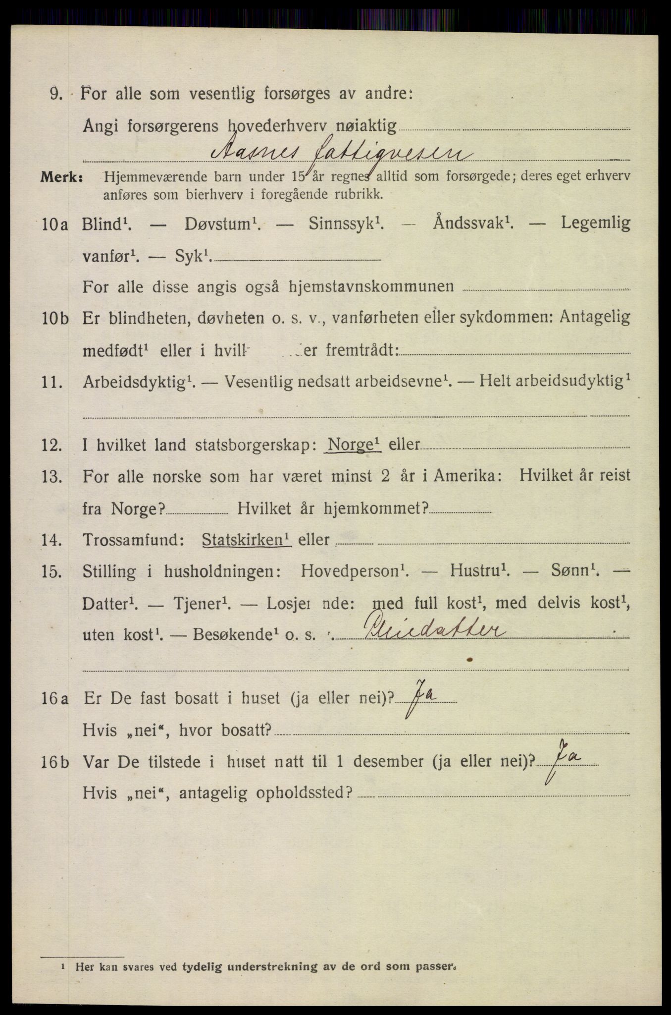 SAH, 1920 census for Åsnes, 1920, p. 3387