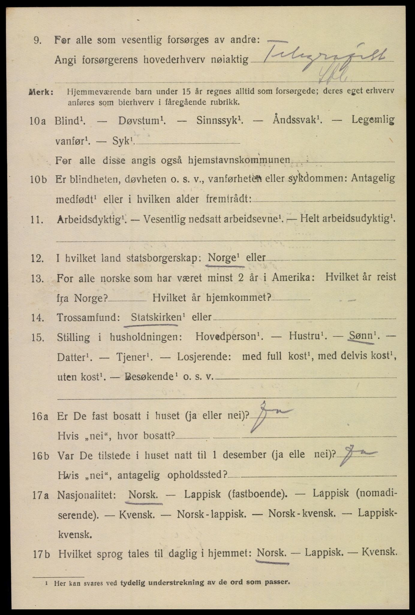 SAT, 1920 census for Narvik, 1920, p. 15411