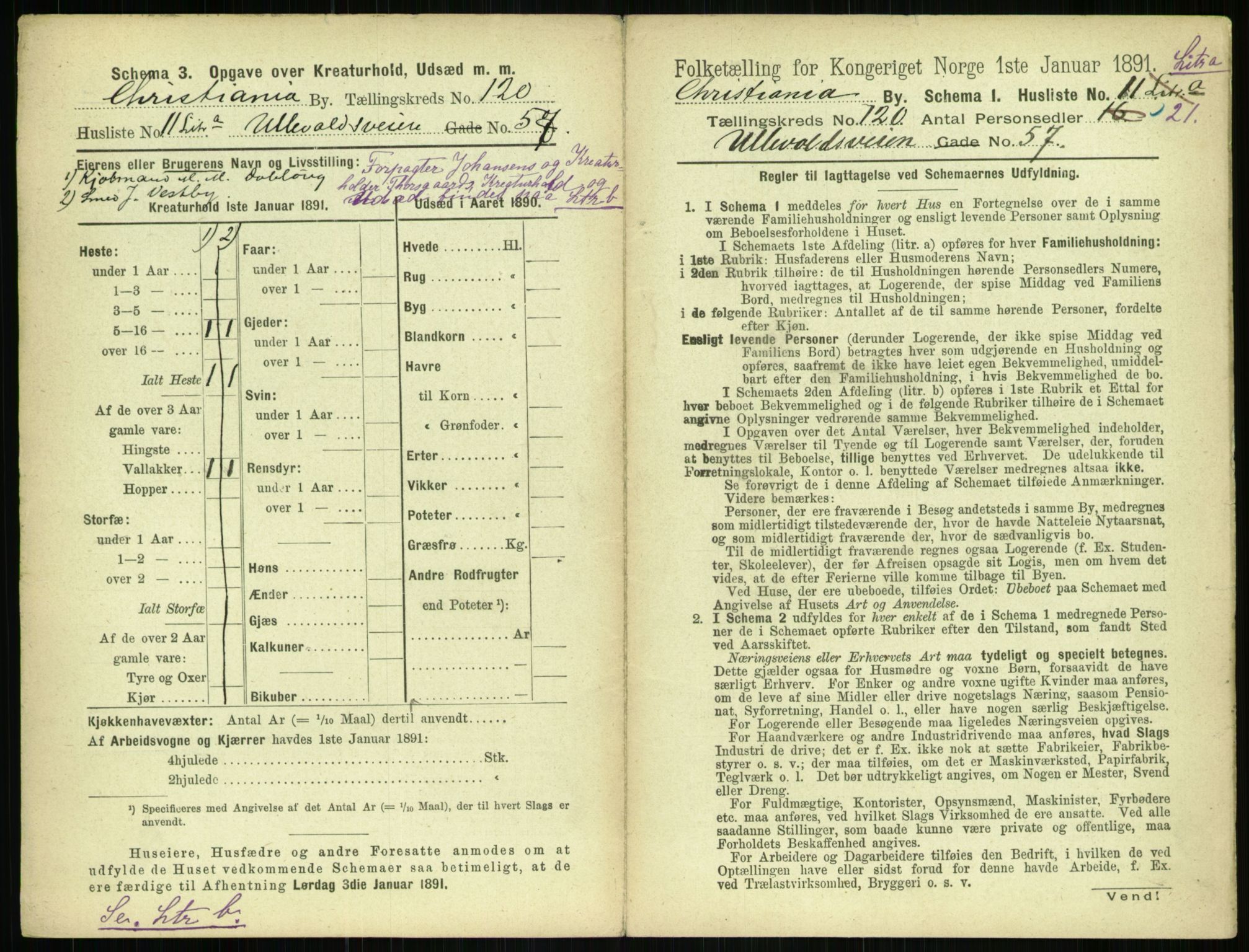 RA, 1891 census for 0301 Kristiania, 1891, p. 63993